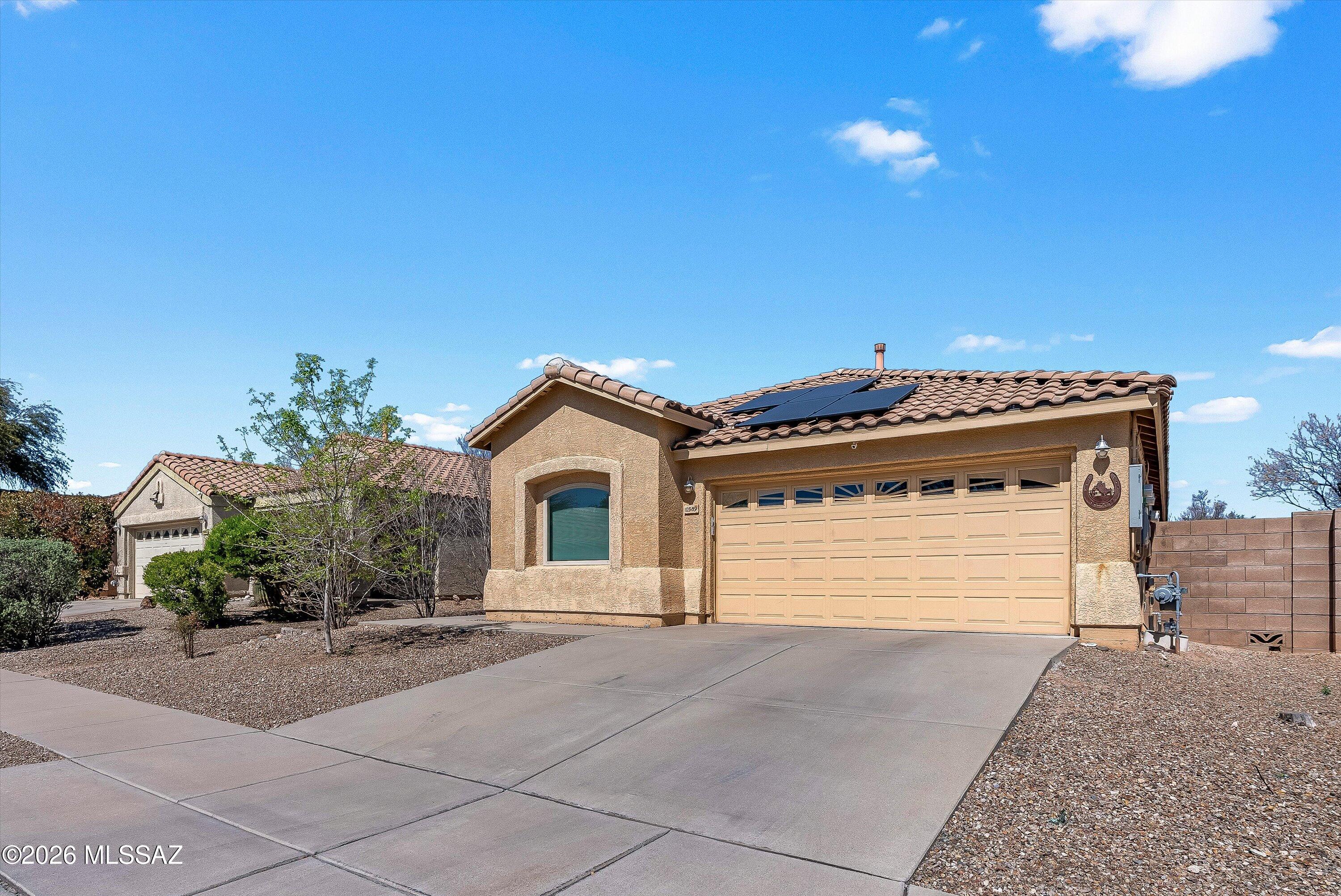 10589 E Feltleaf Willow Trail