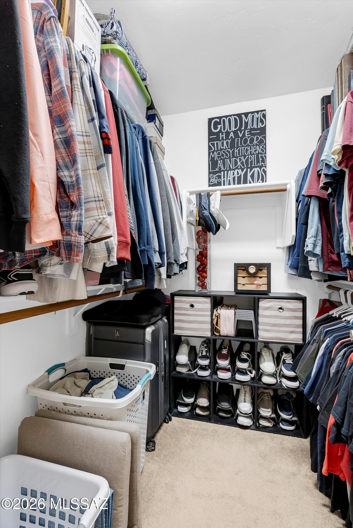 10589 E Feltleaf Willow Trail