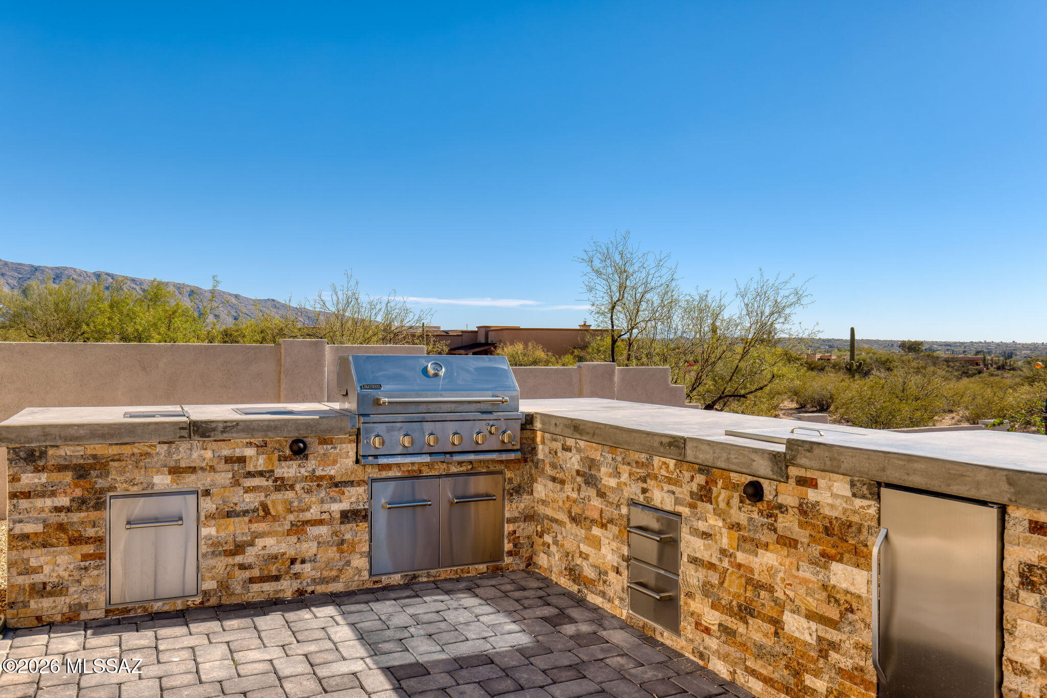 2725 N Megafauna Court