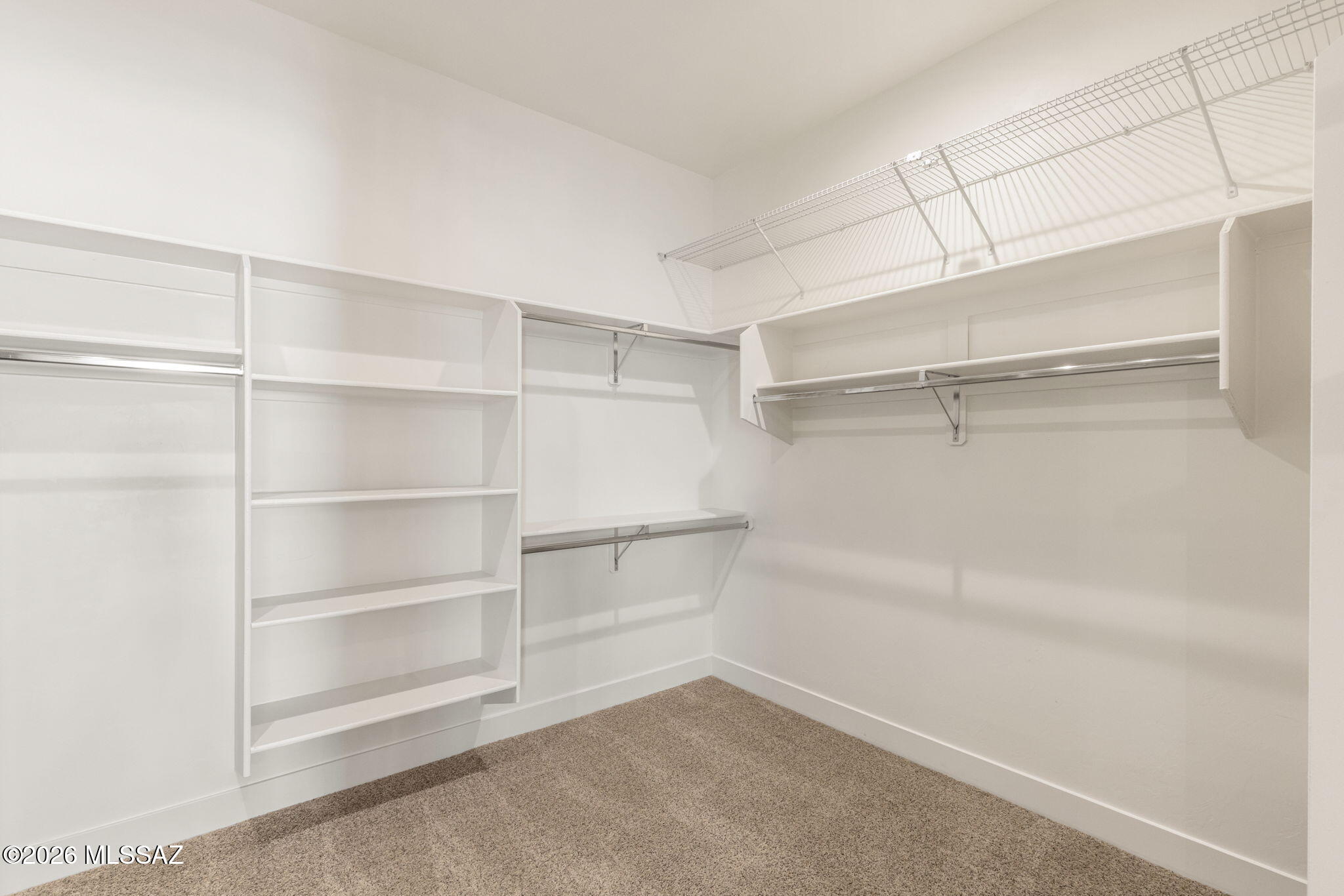 2725 N Megafauna Court