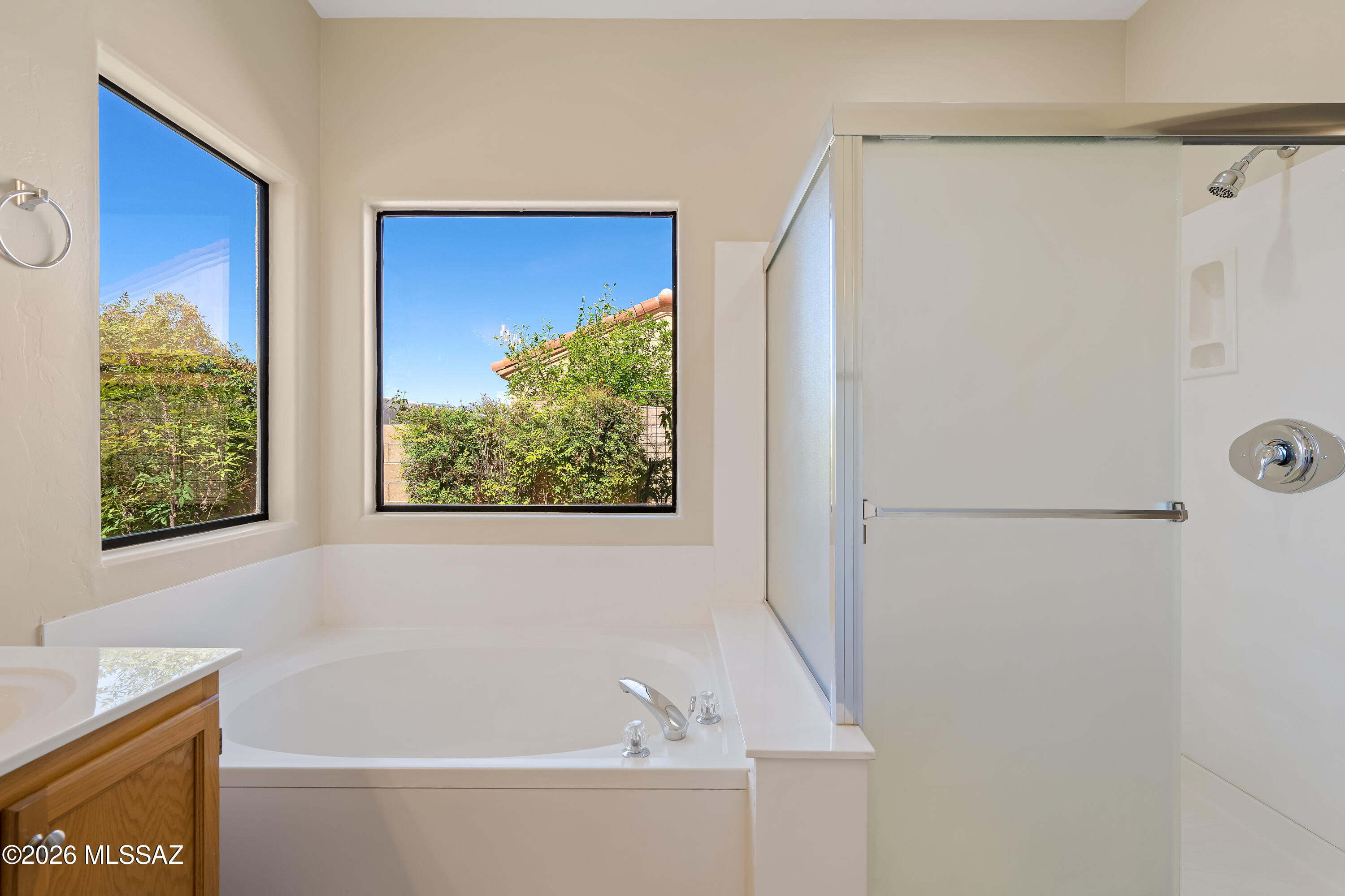 10961 E Desert Senna Drive