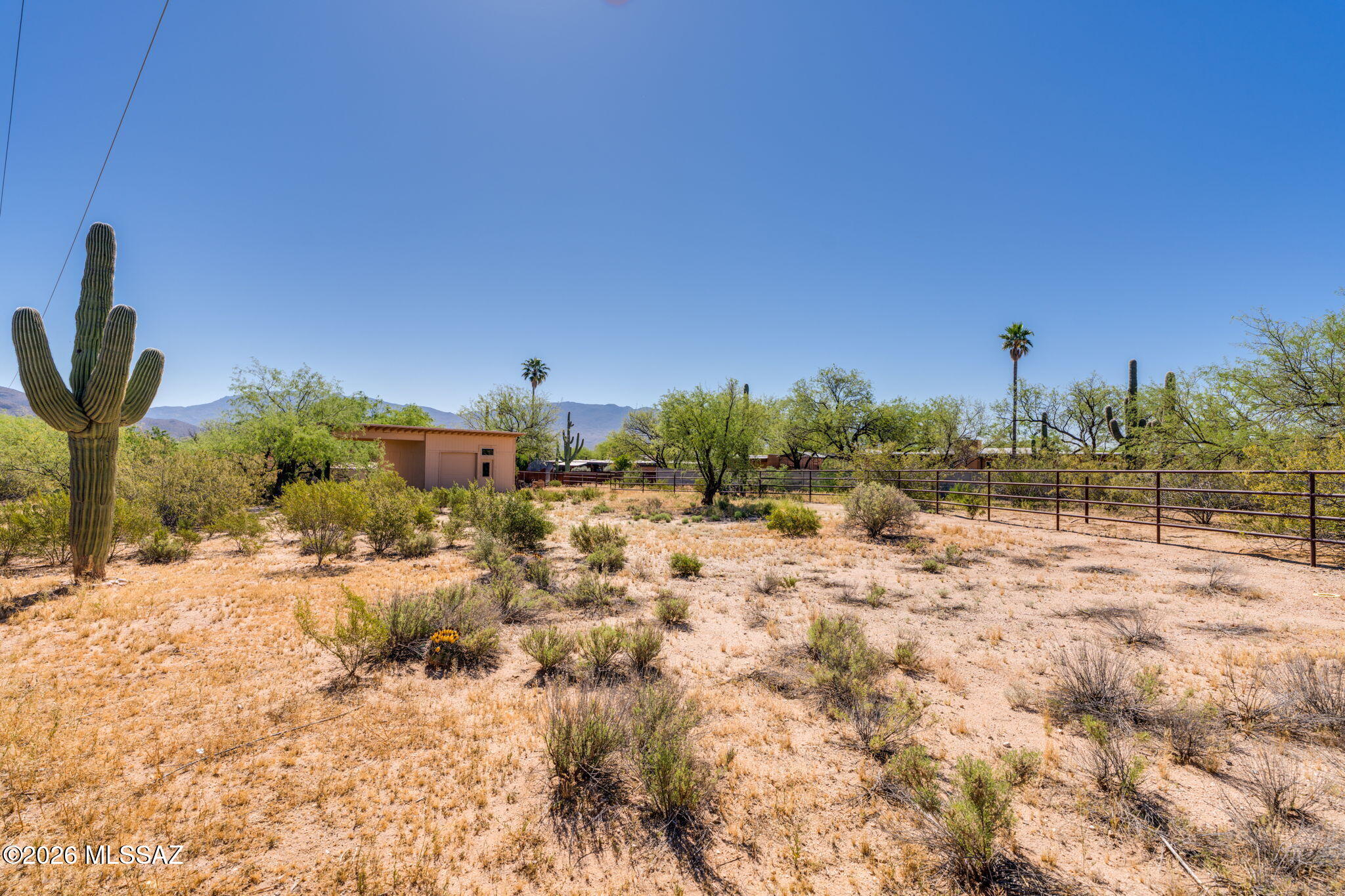 11421 E Holster Drive