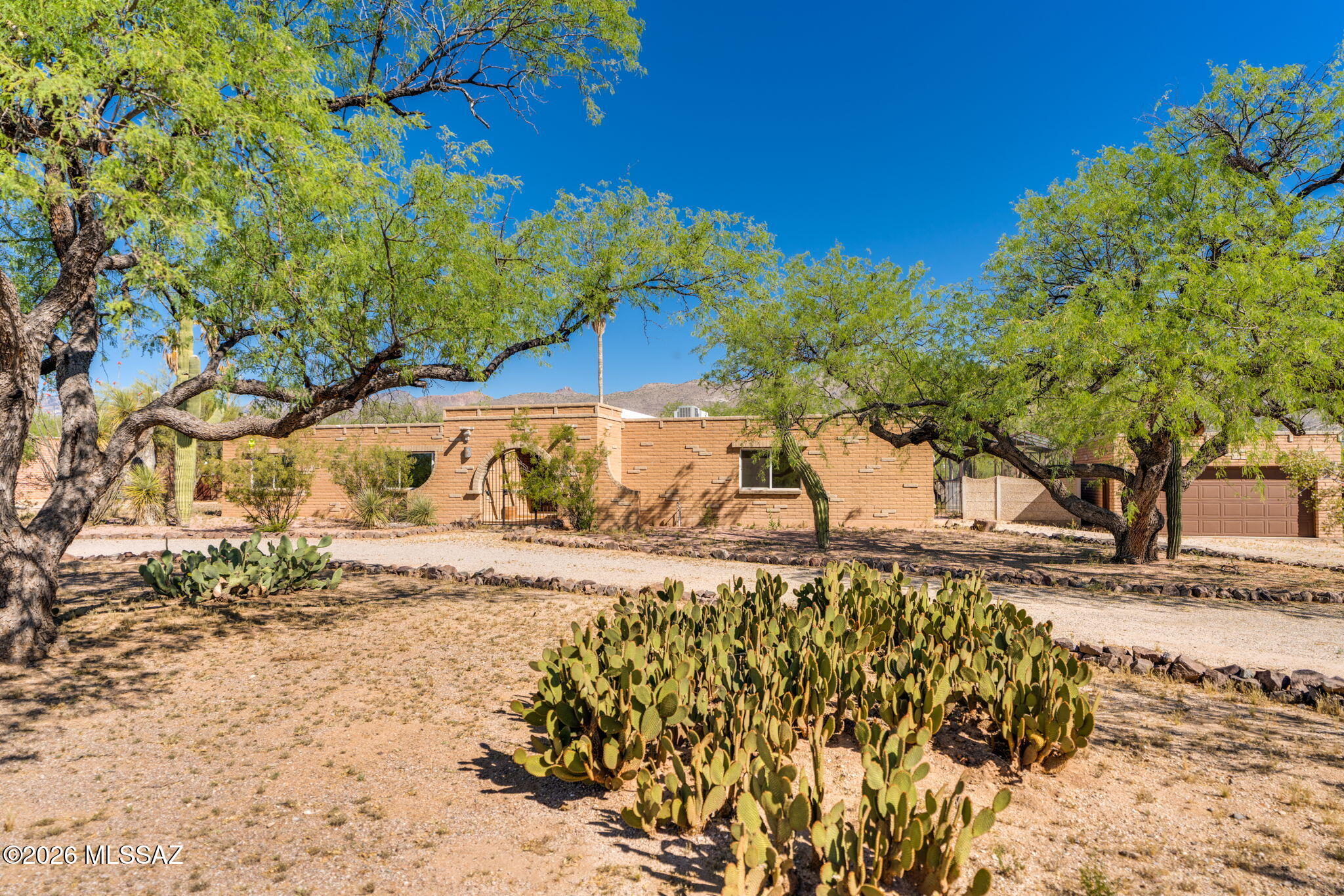 11421 E Holster Drive