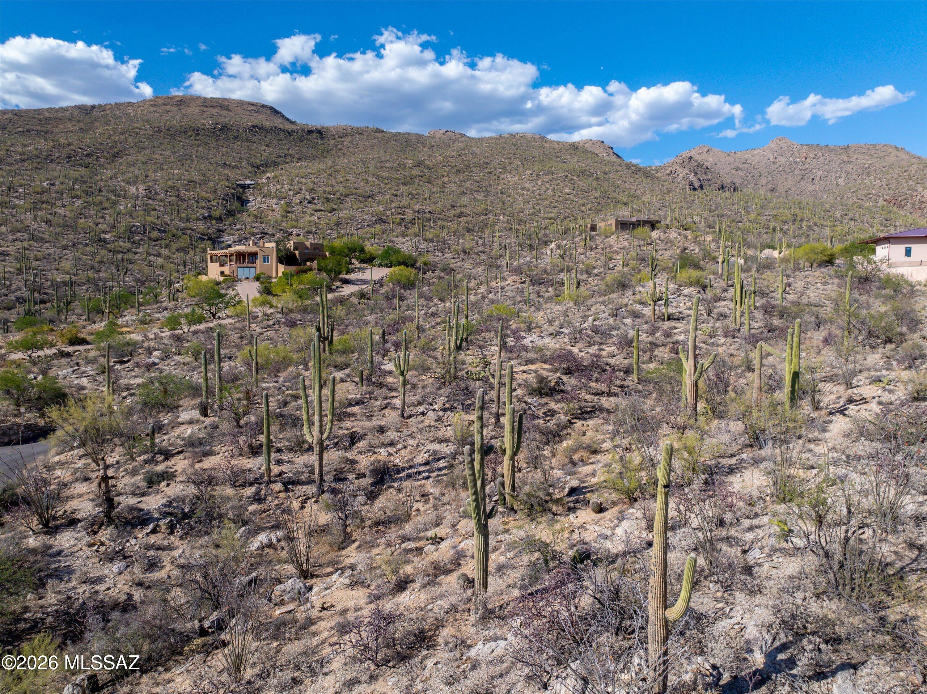 5400 N Avenida De La Colina 16