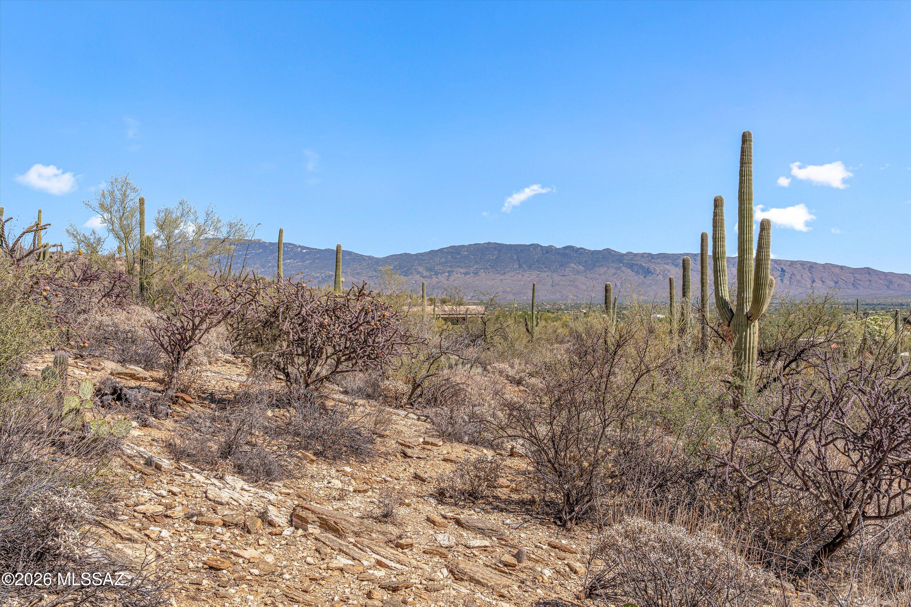 5400 N Avenida De La Colina 16