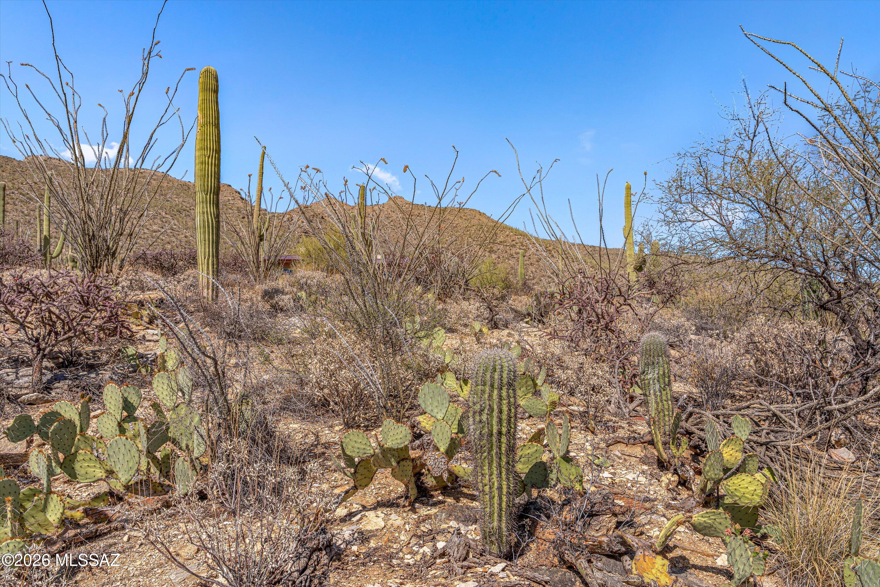 5400 N Avenida De La Colina 16