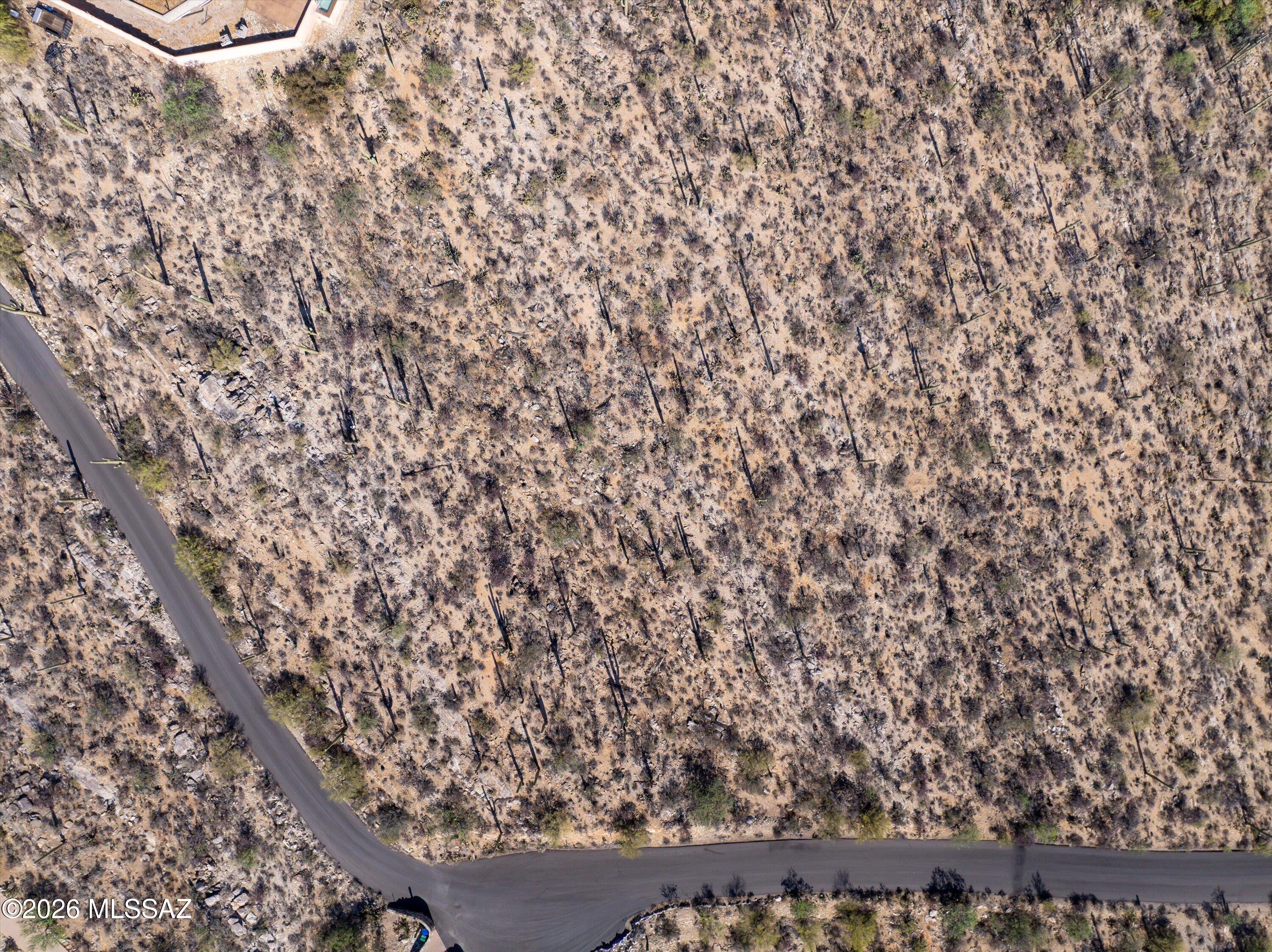 5400 N Avenida De La Colina 16