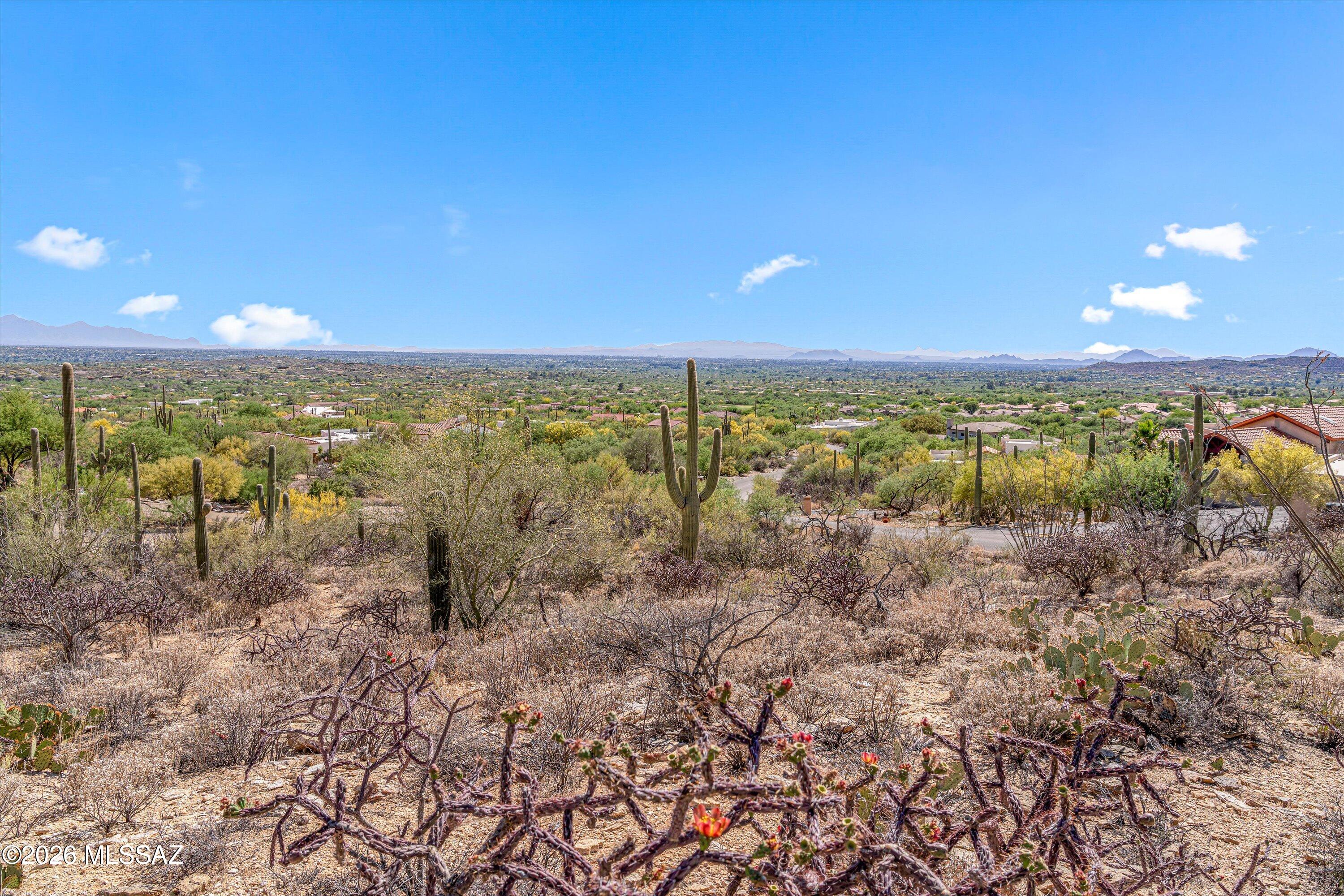 5400 N Avenida De La Colina 16