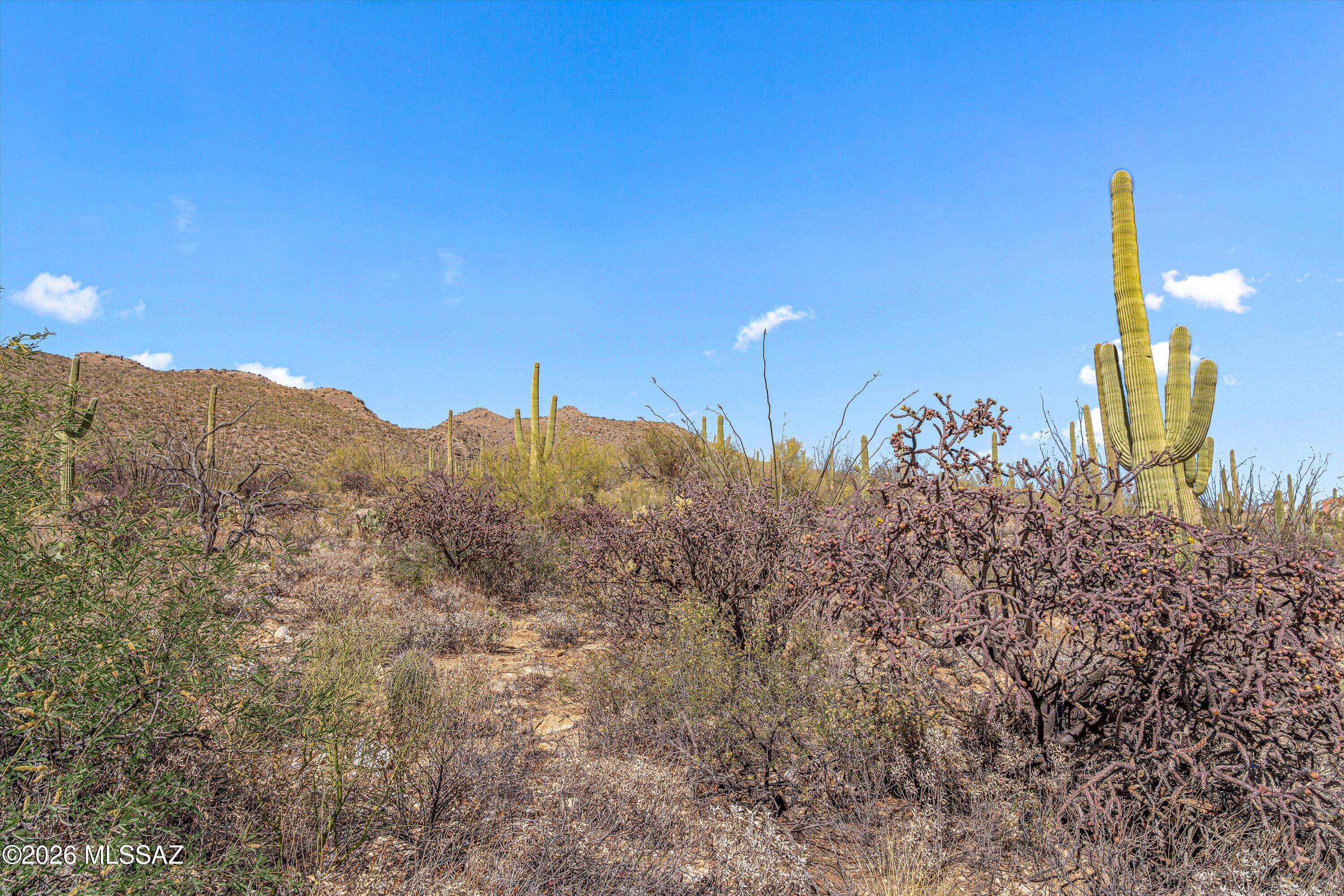 5400 N Avenida De La Colina 16