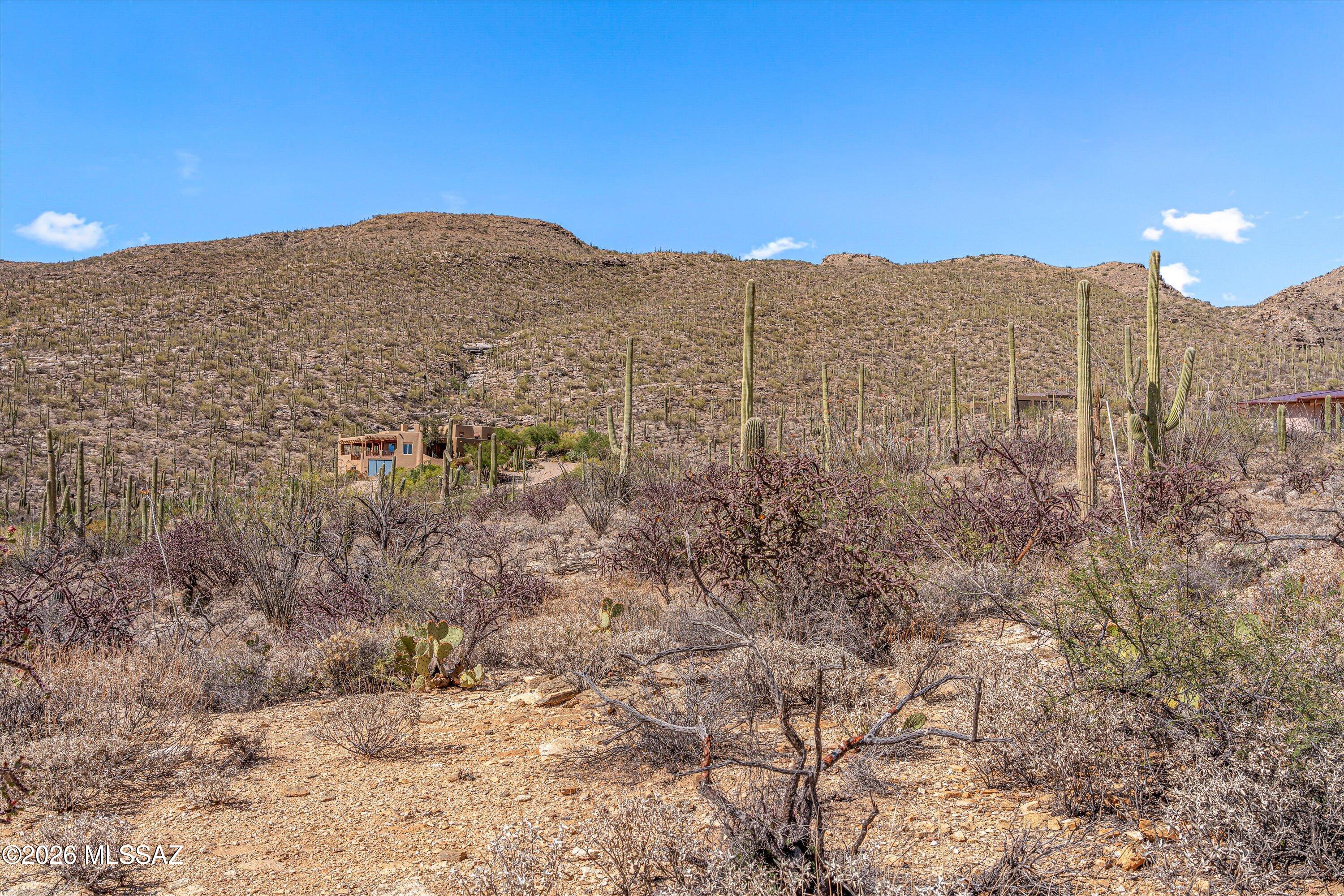 5400 N Avenida De La Colina 16