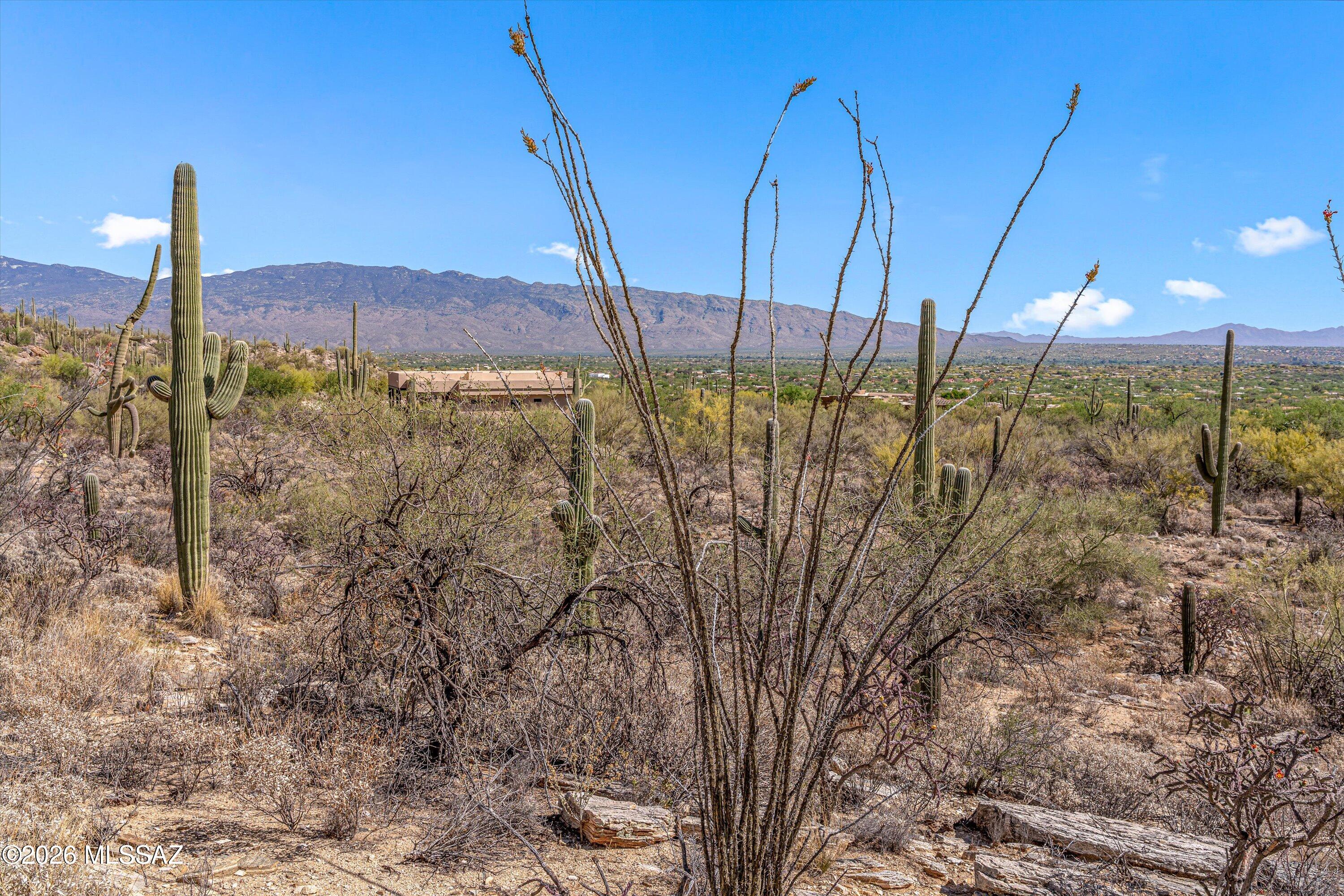 5400 N Avenida De La Colina 16