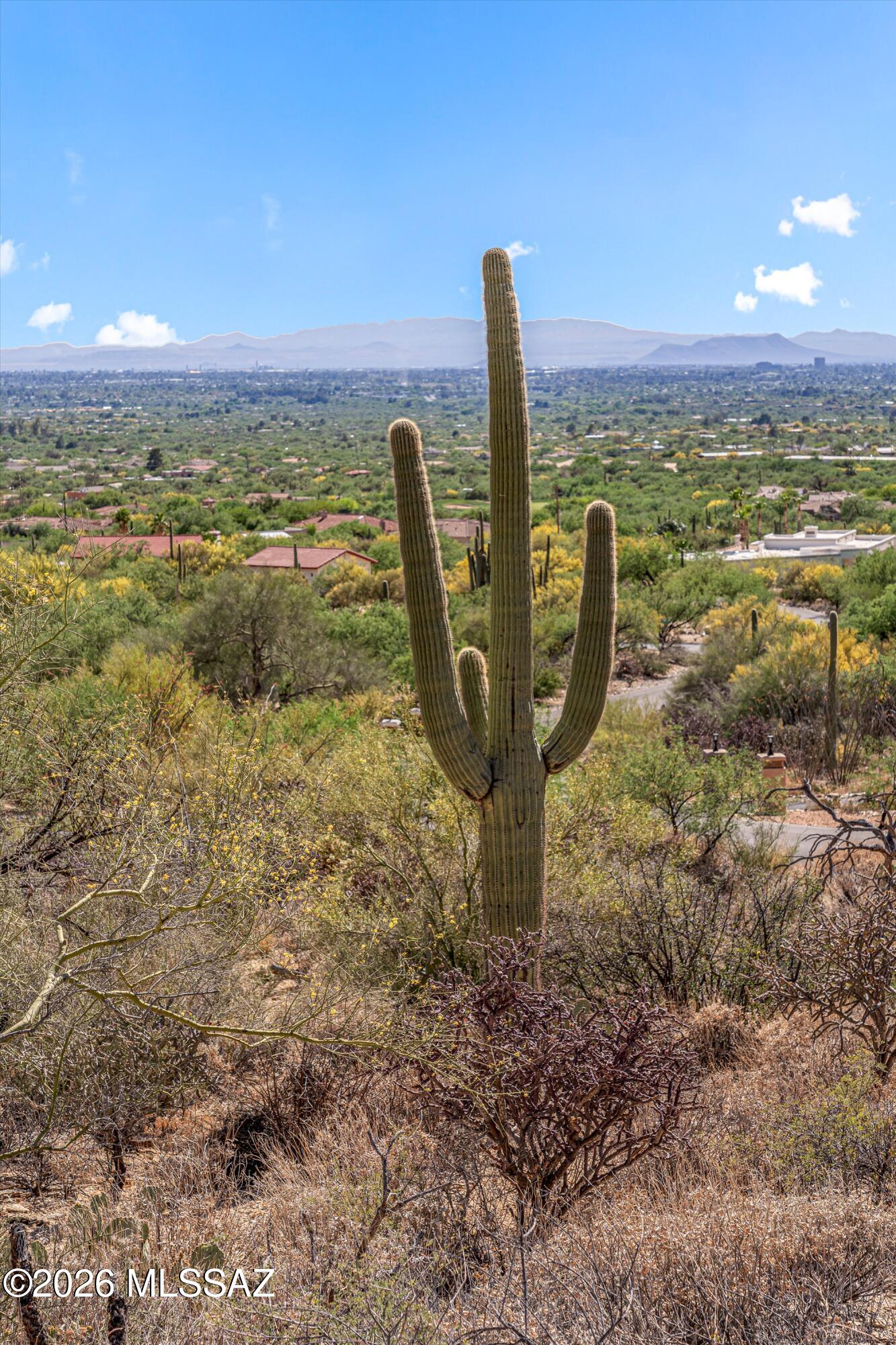 5400 N Avenida De La Colina 16