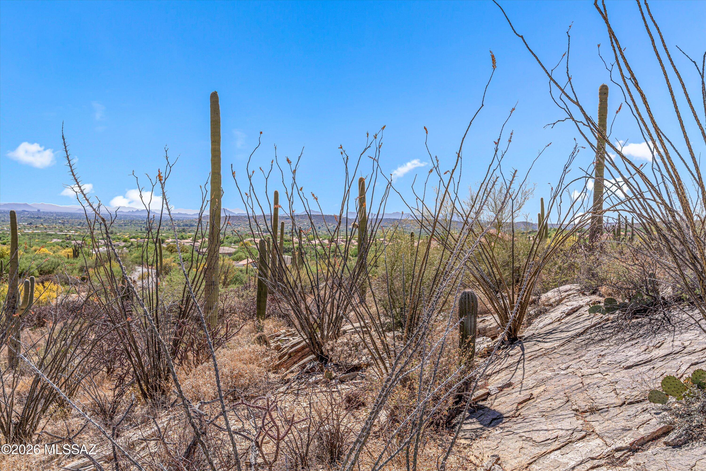 5400 N Avenida De La Colina 16