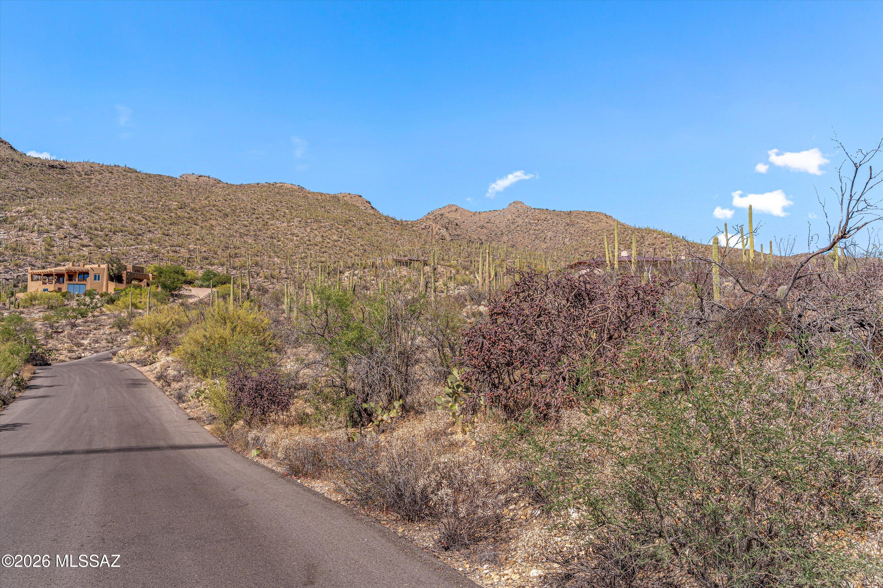 5400 N Avenida De La Colina 16