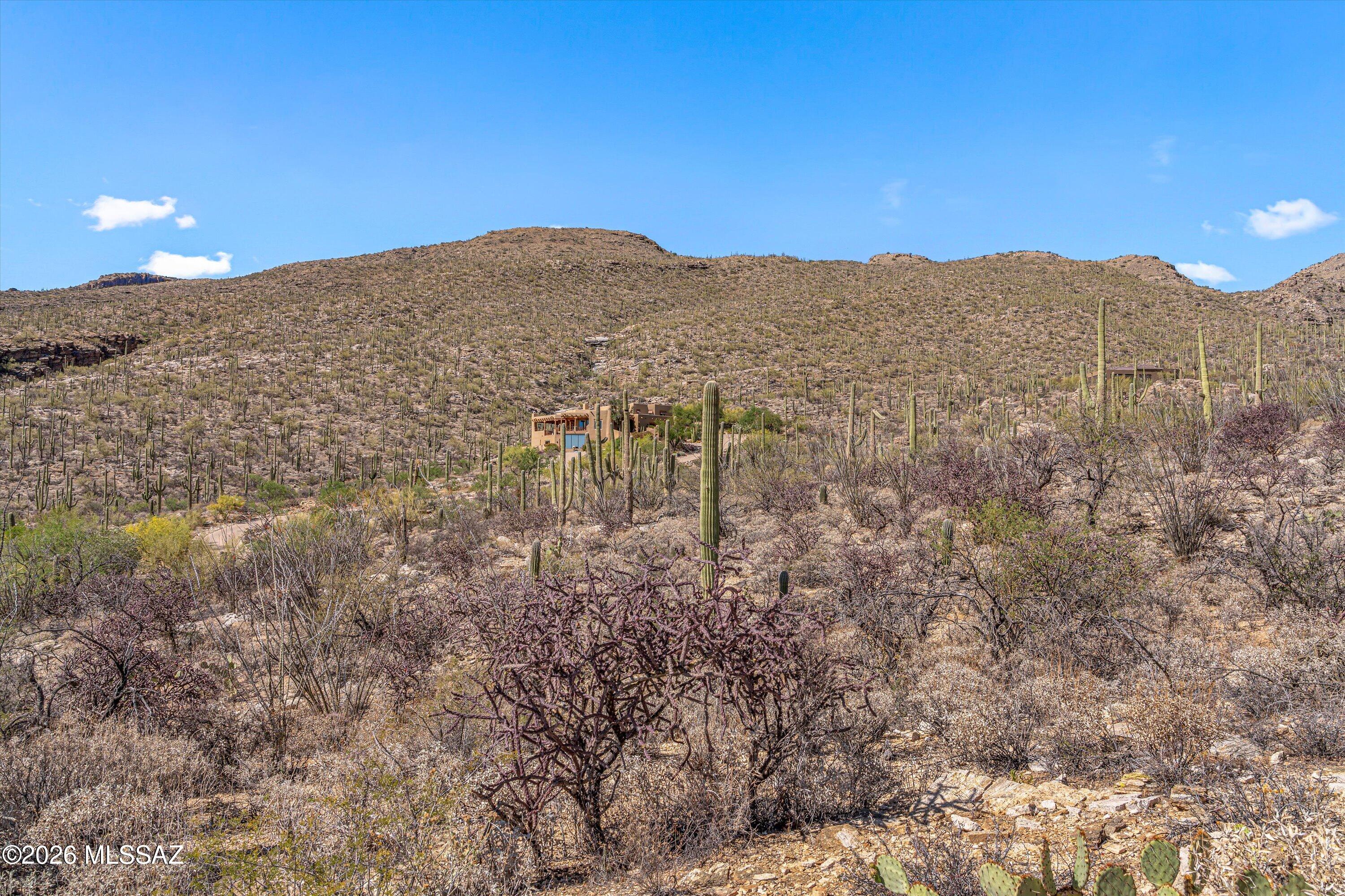 5400 N Avenida De La Colina 16