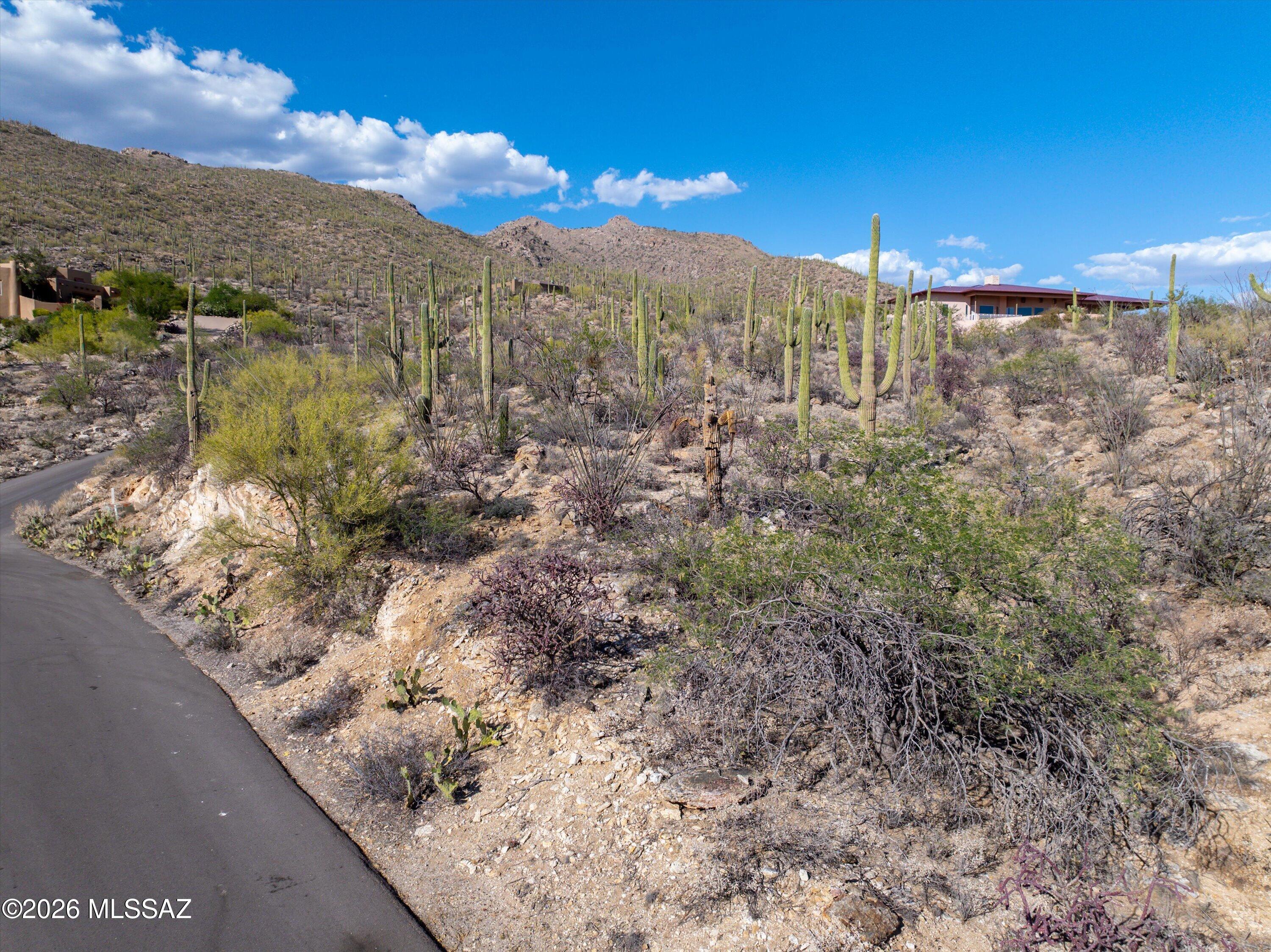 5400 N Avenida De La Colina 16