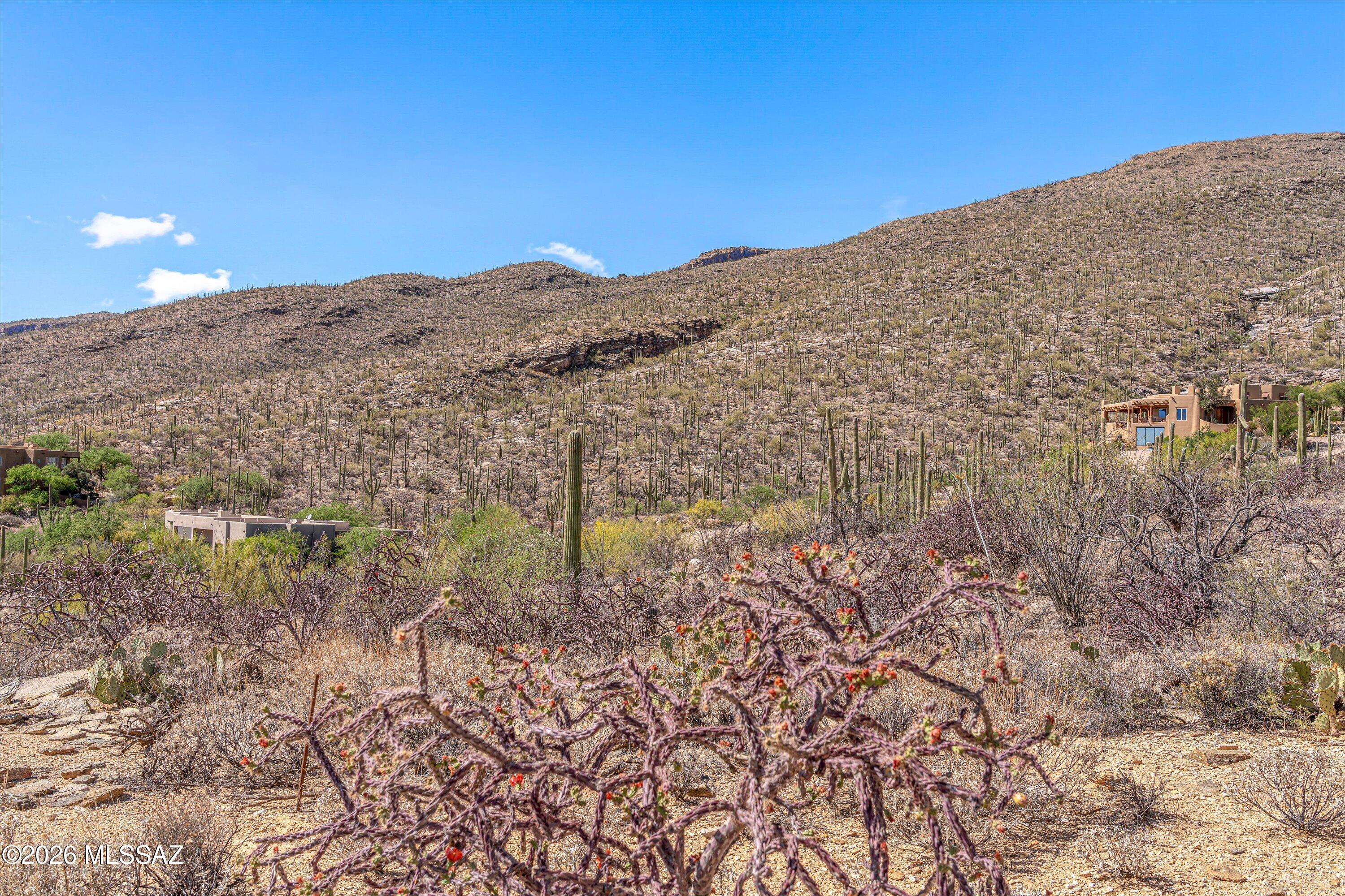 5400 N Avenida De La Colina 16