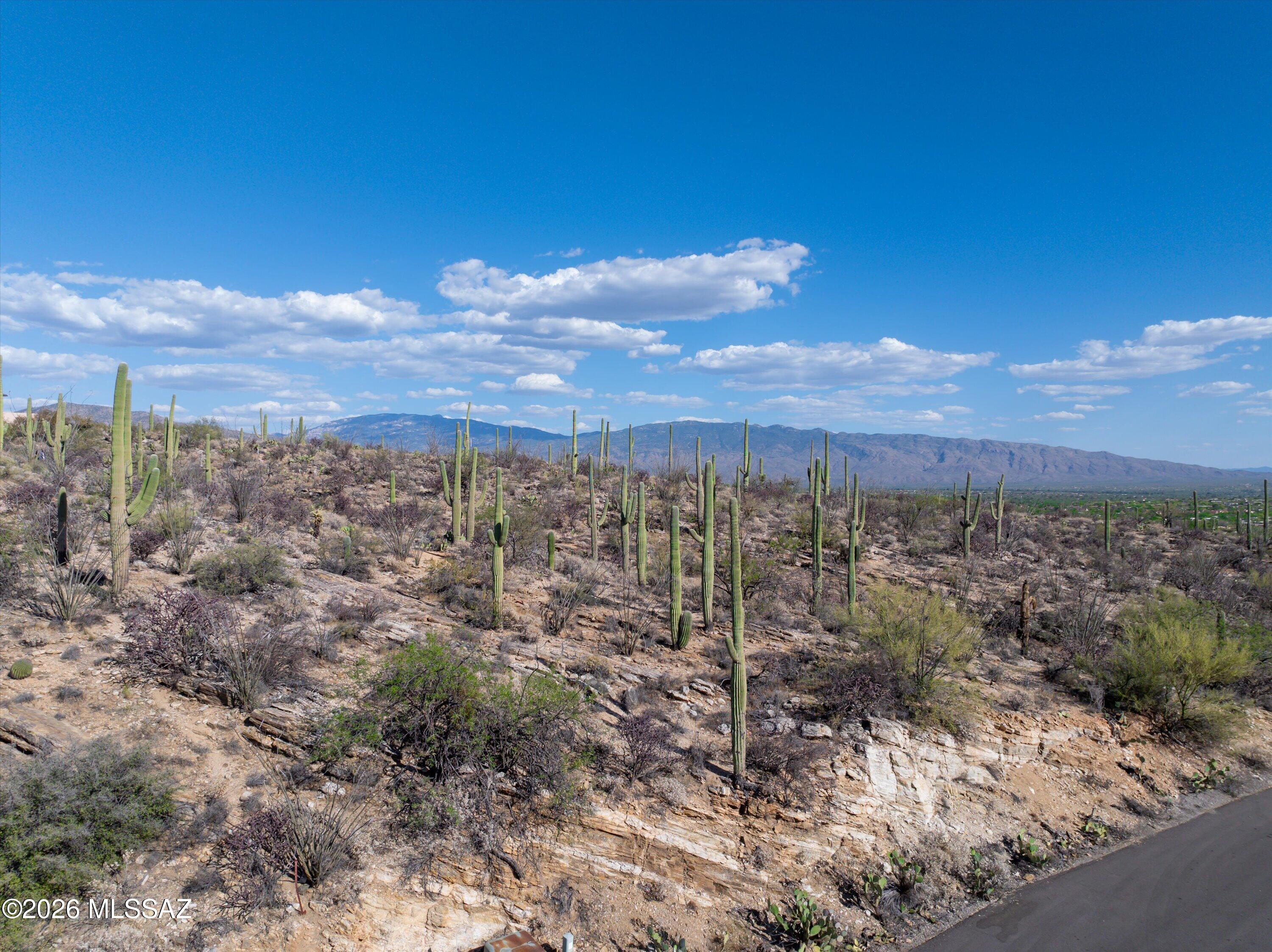 5400 N Avenida De La Colina 16