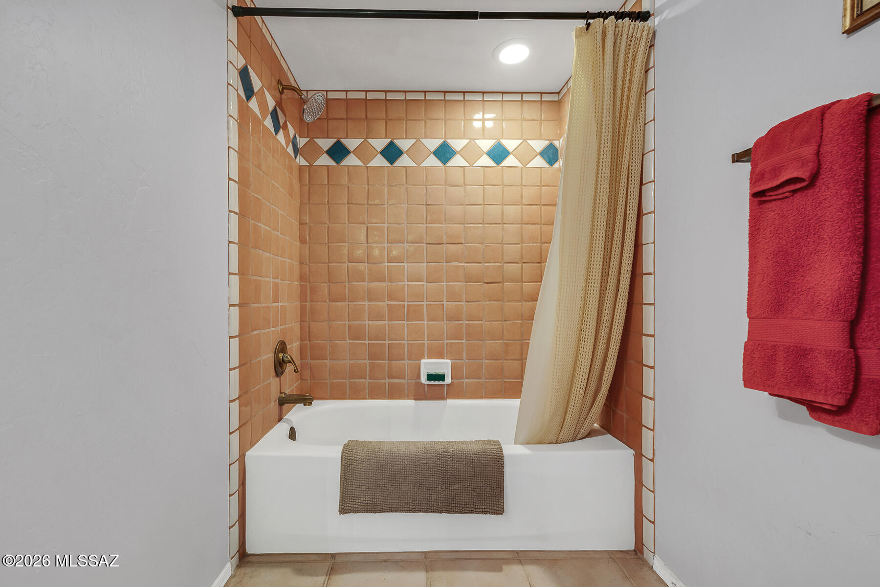 11055 E Blue Grama Drive