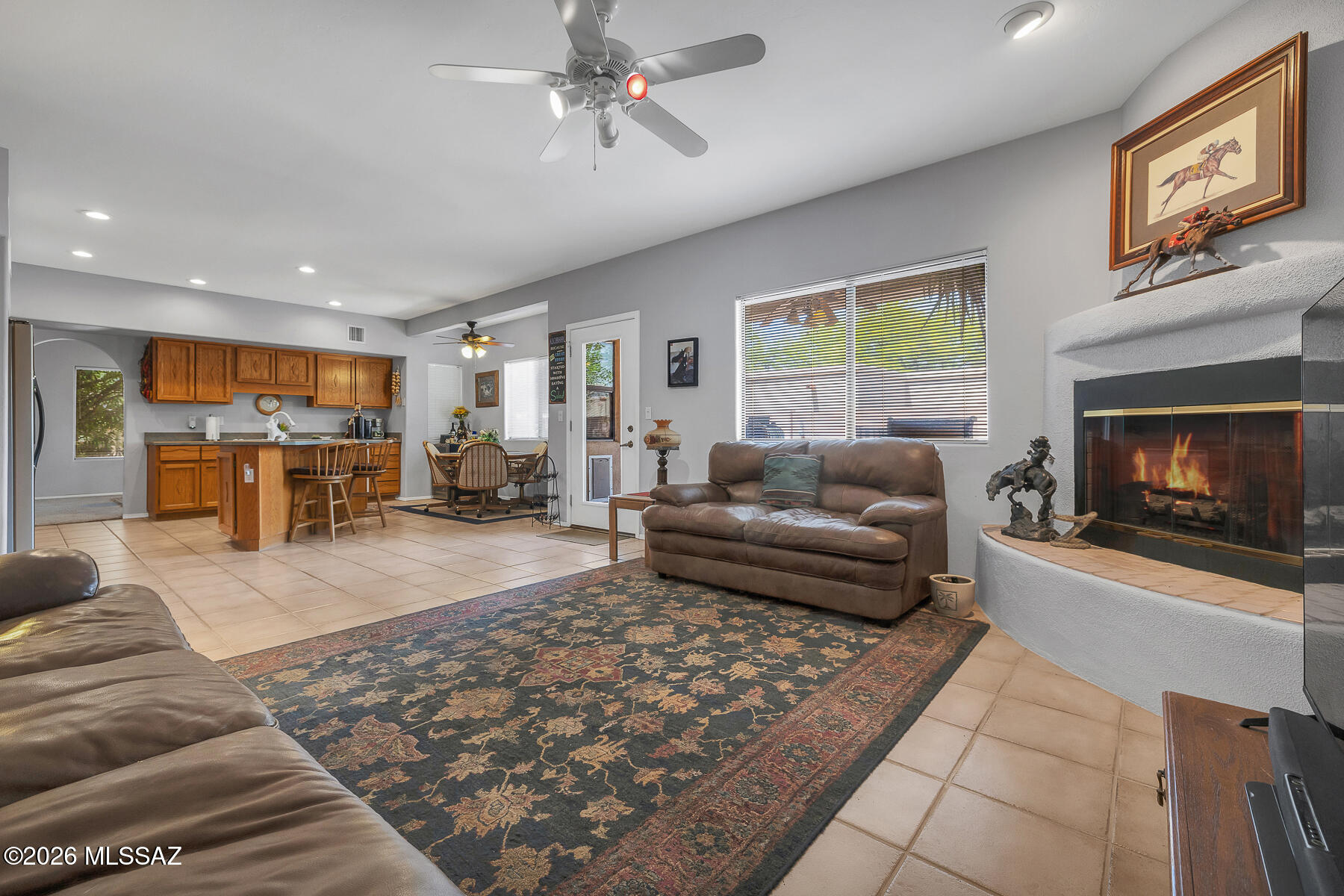 11055 E Blue Grama Drive