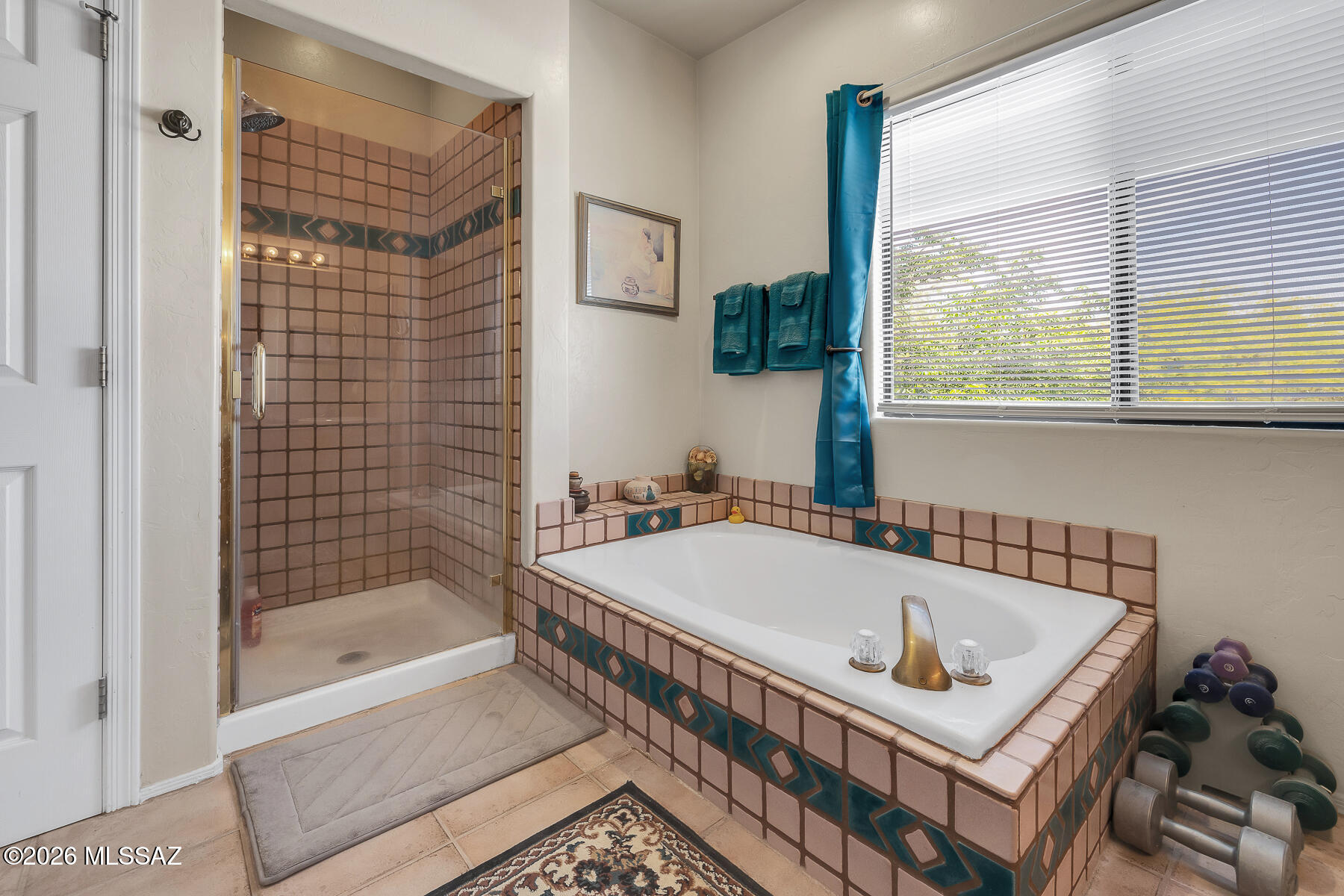 11055 E Blue Grama Drive