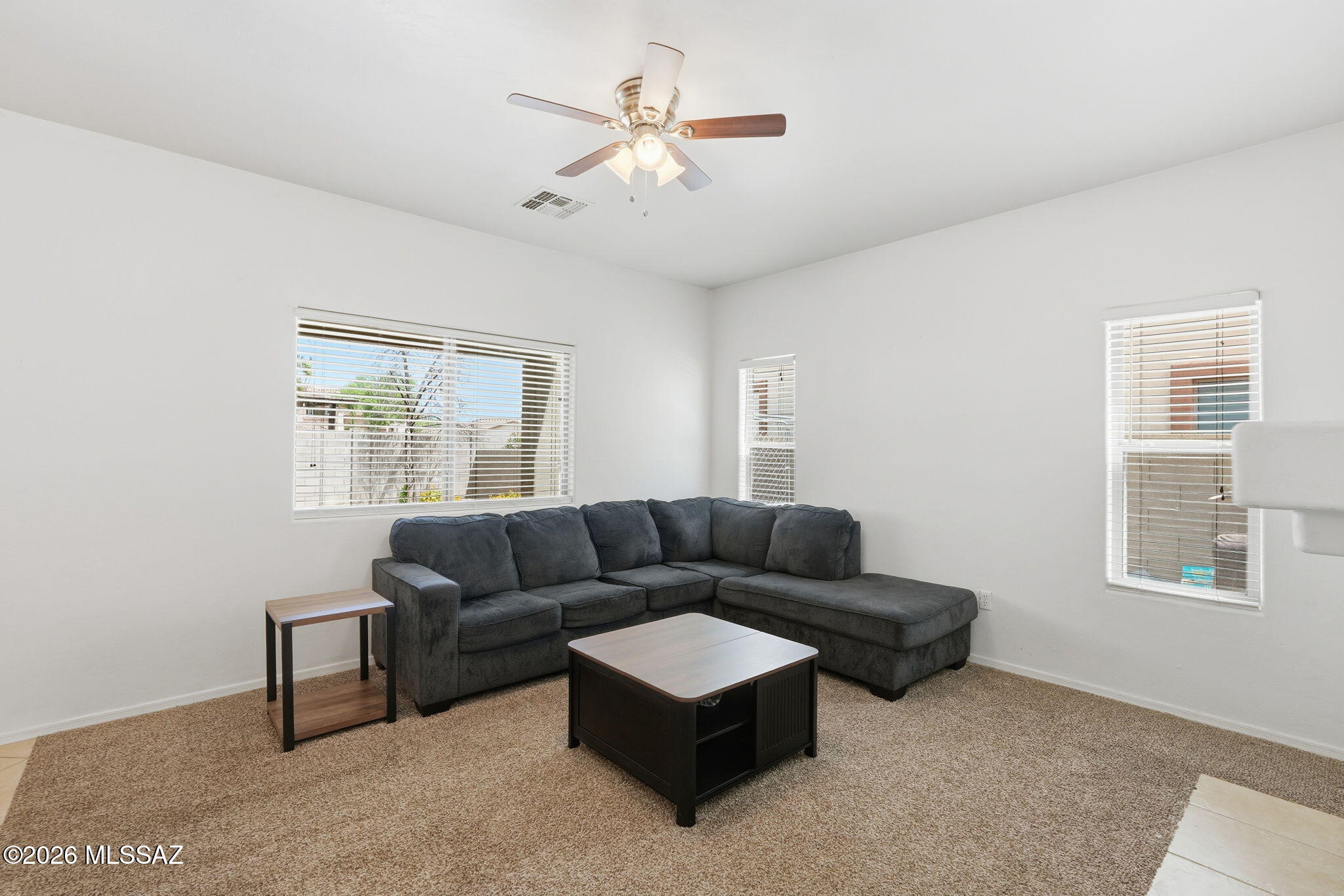 15407 S Camino Agua Azul