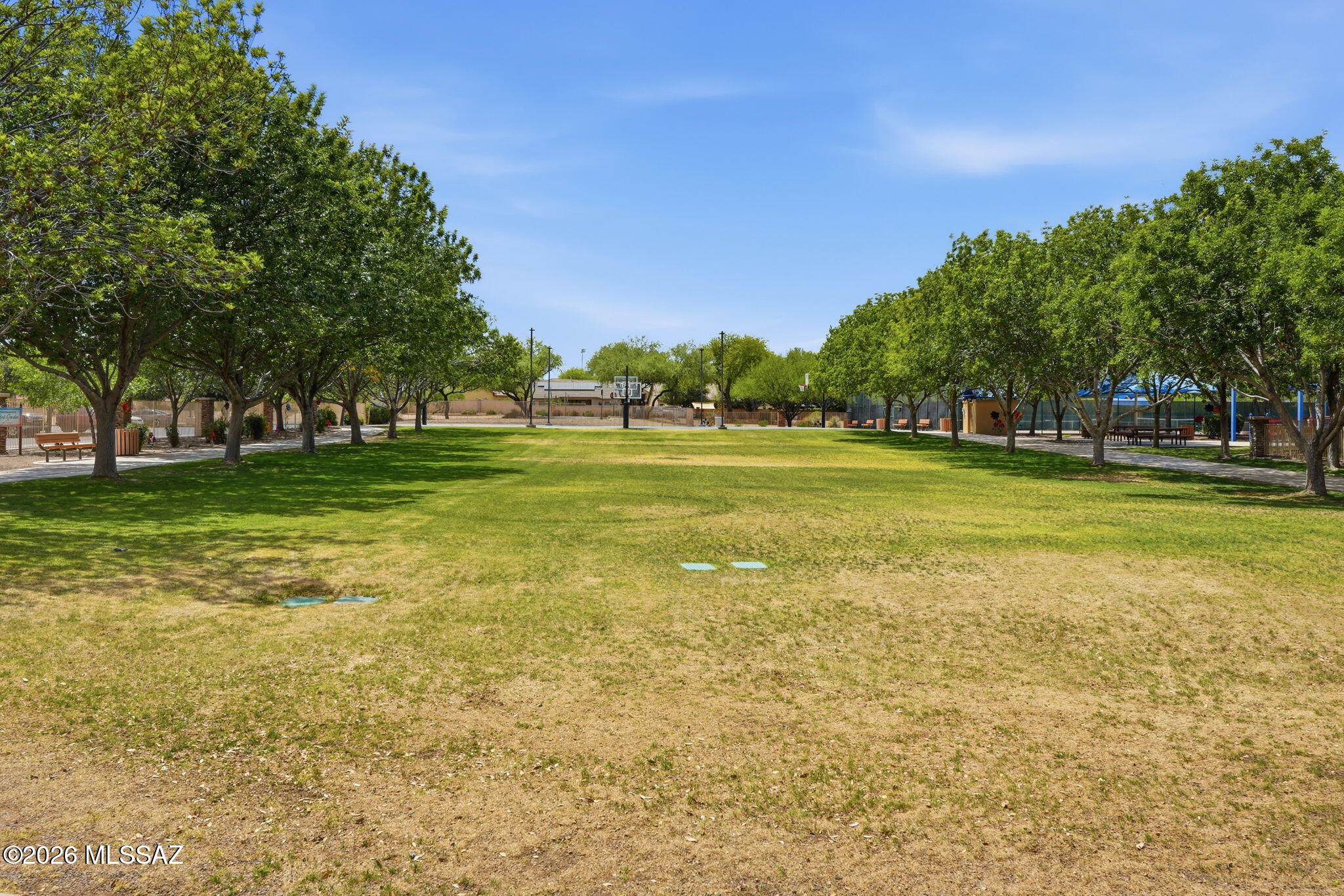 15407 S Camino Agua Azul