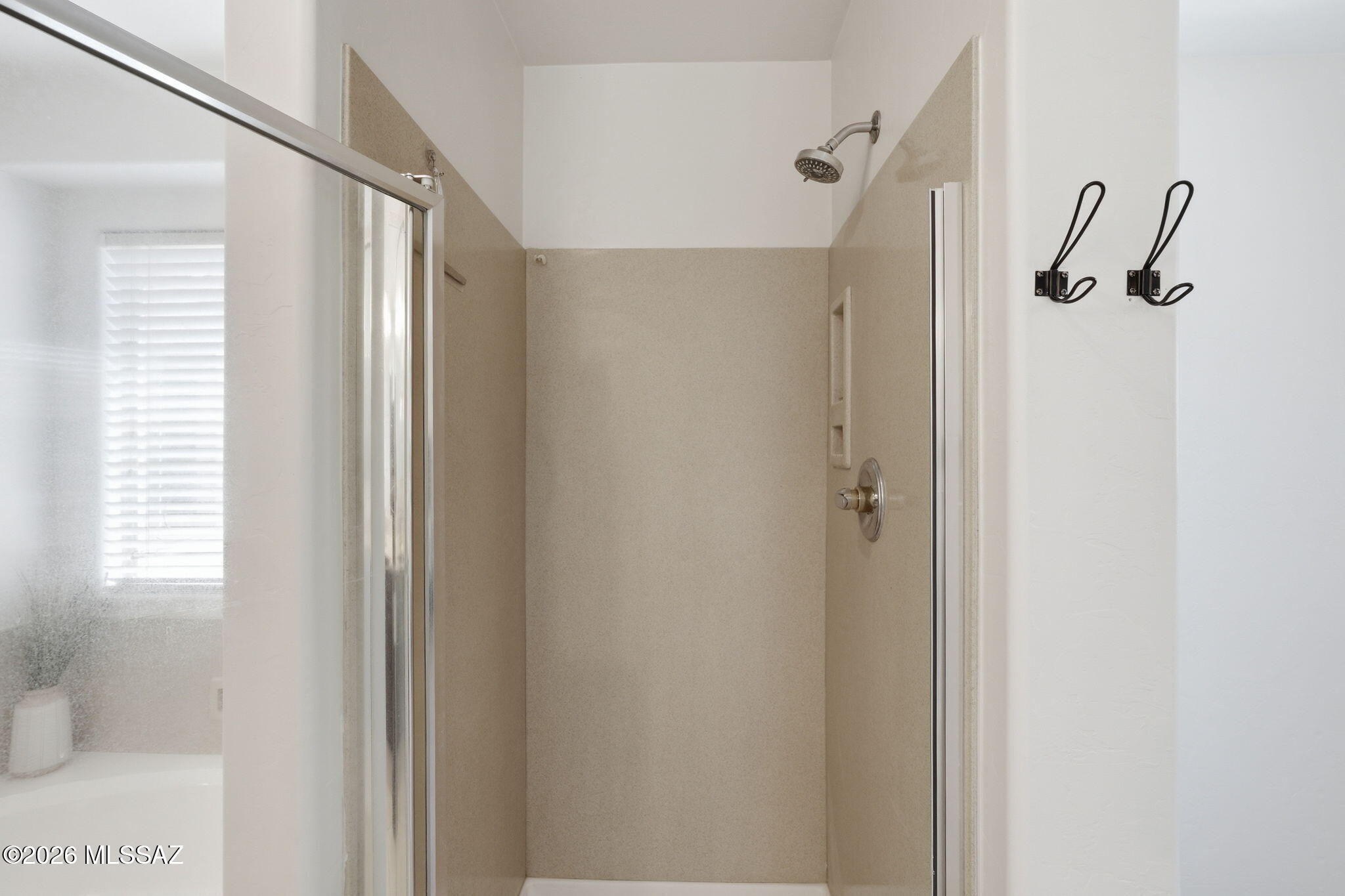 15407 S Camino Agua Azul