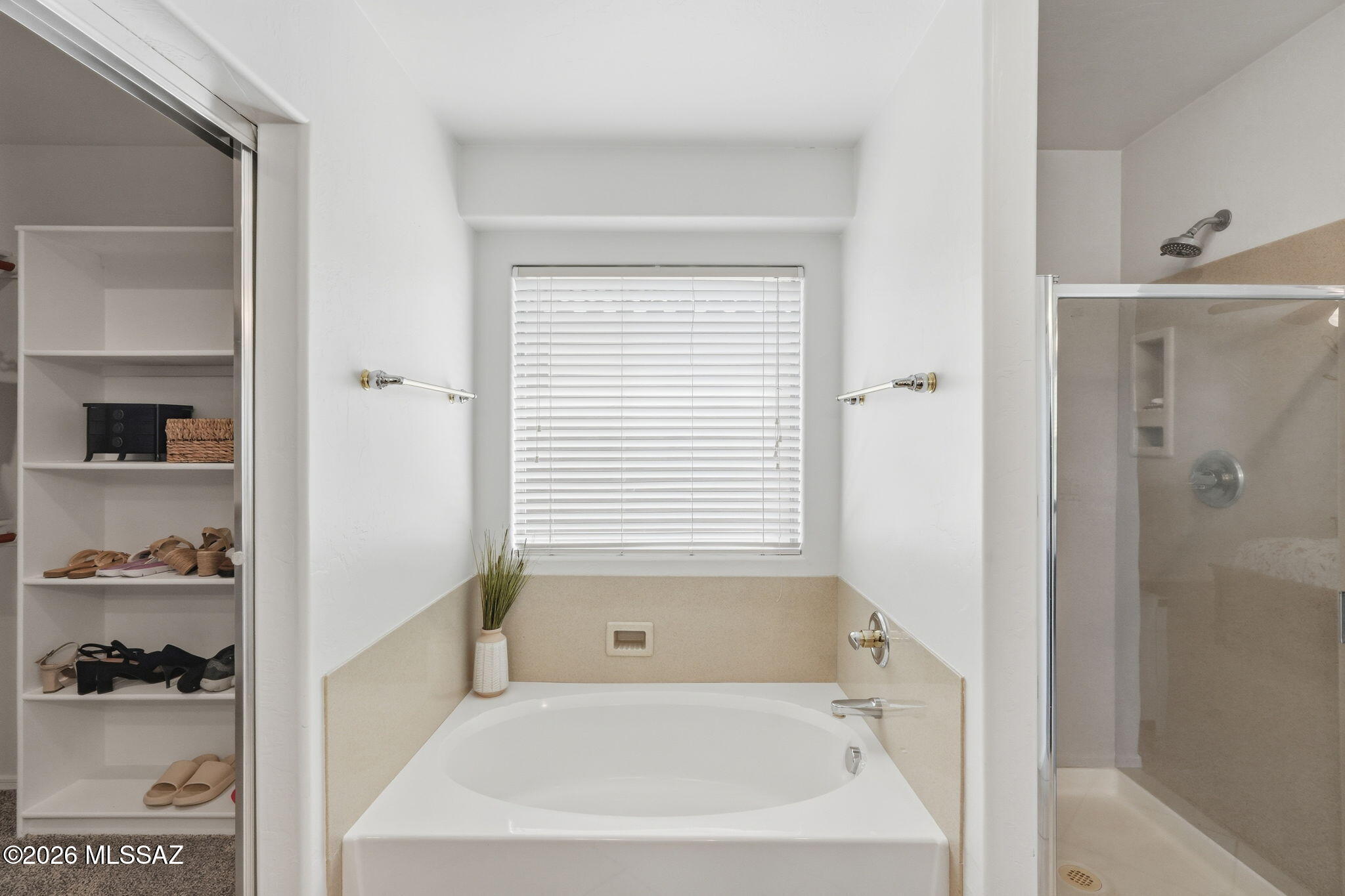 15407 S Camino Agua Azul
