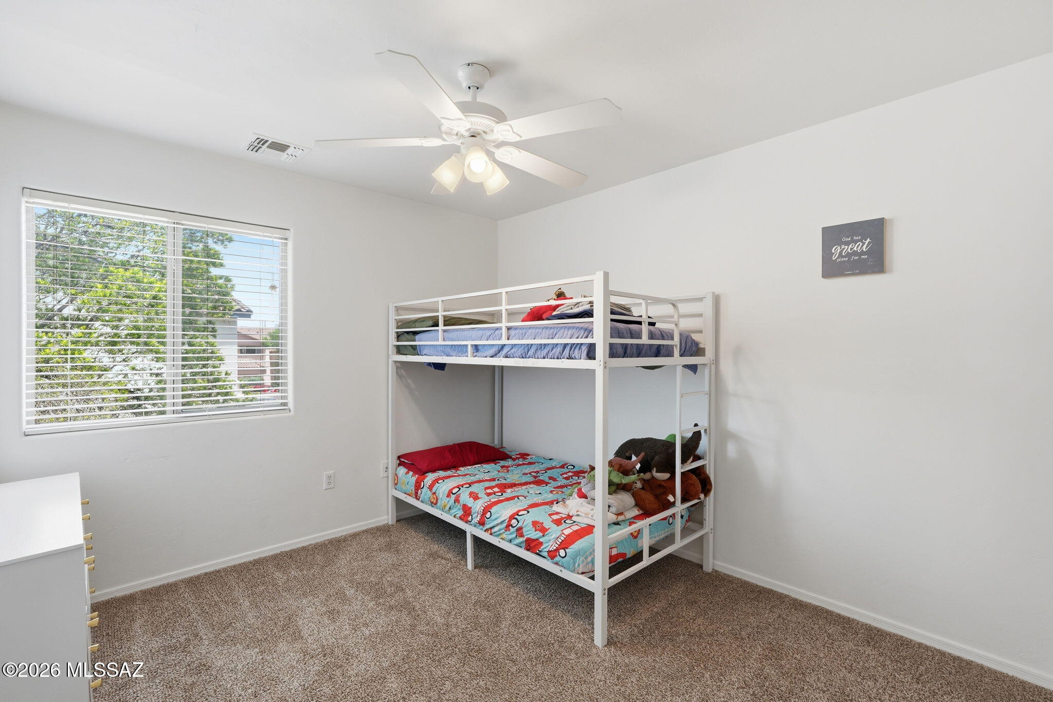 15407 S Camino Agua Azul