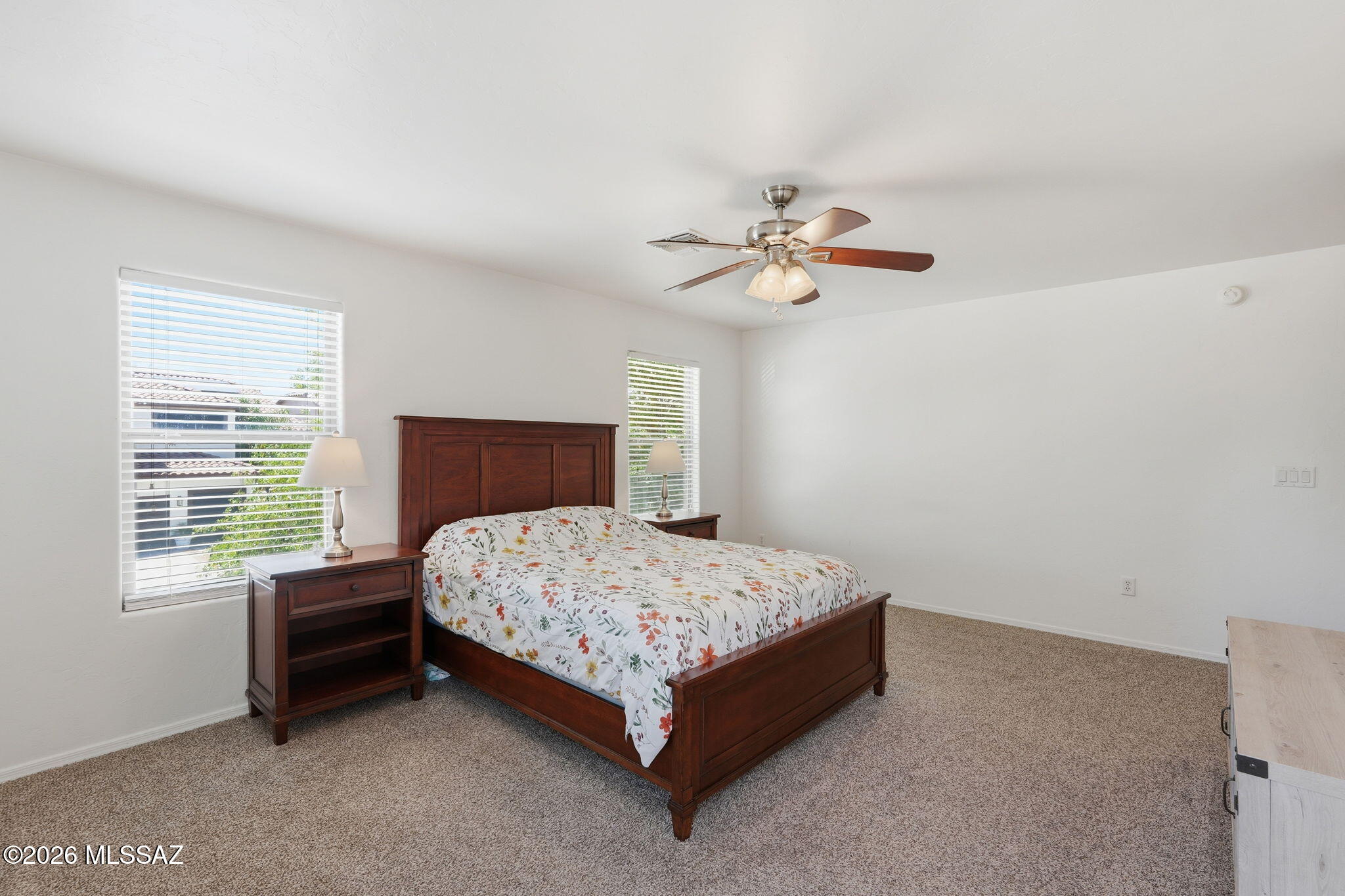 15407 S Camino Agua Azul