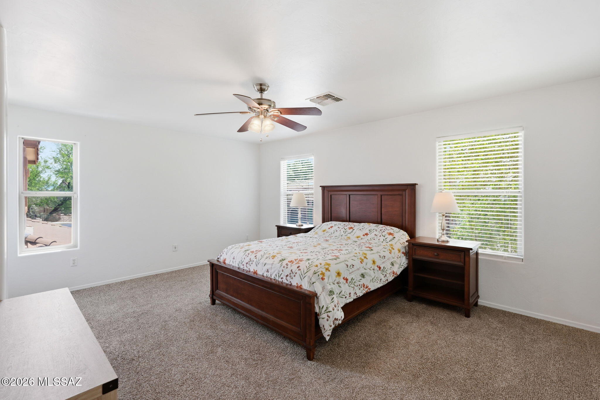 15407 S Camino Agua Azul