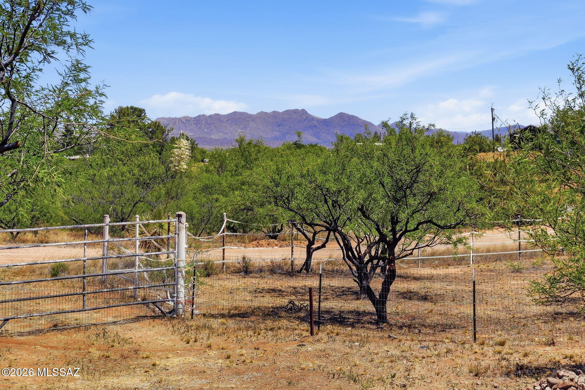 25290 E Tonopah Trail