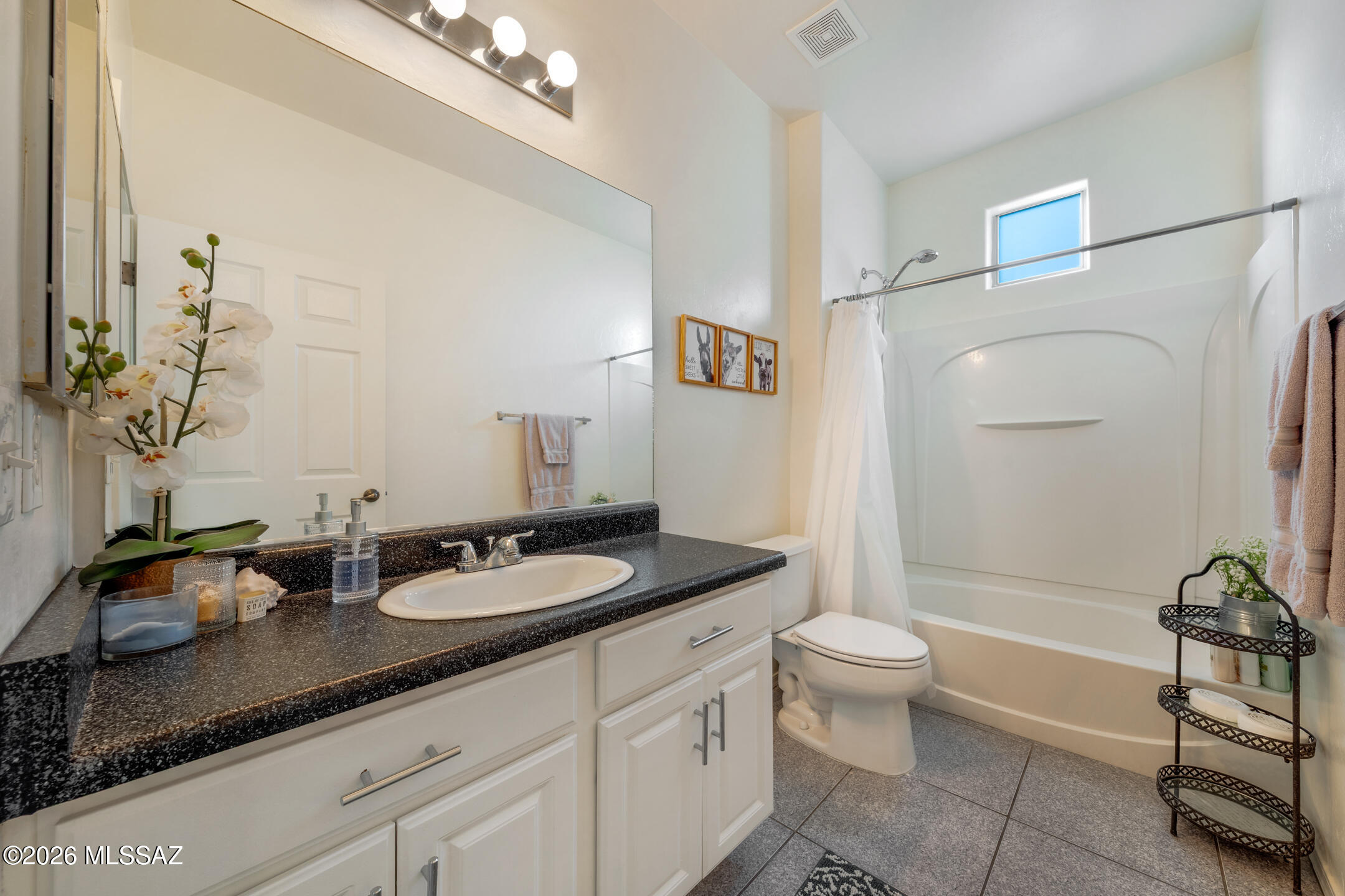 6795 S Avenida Del Abrazo