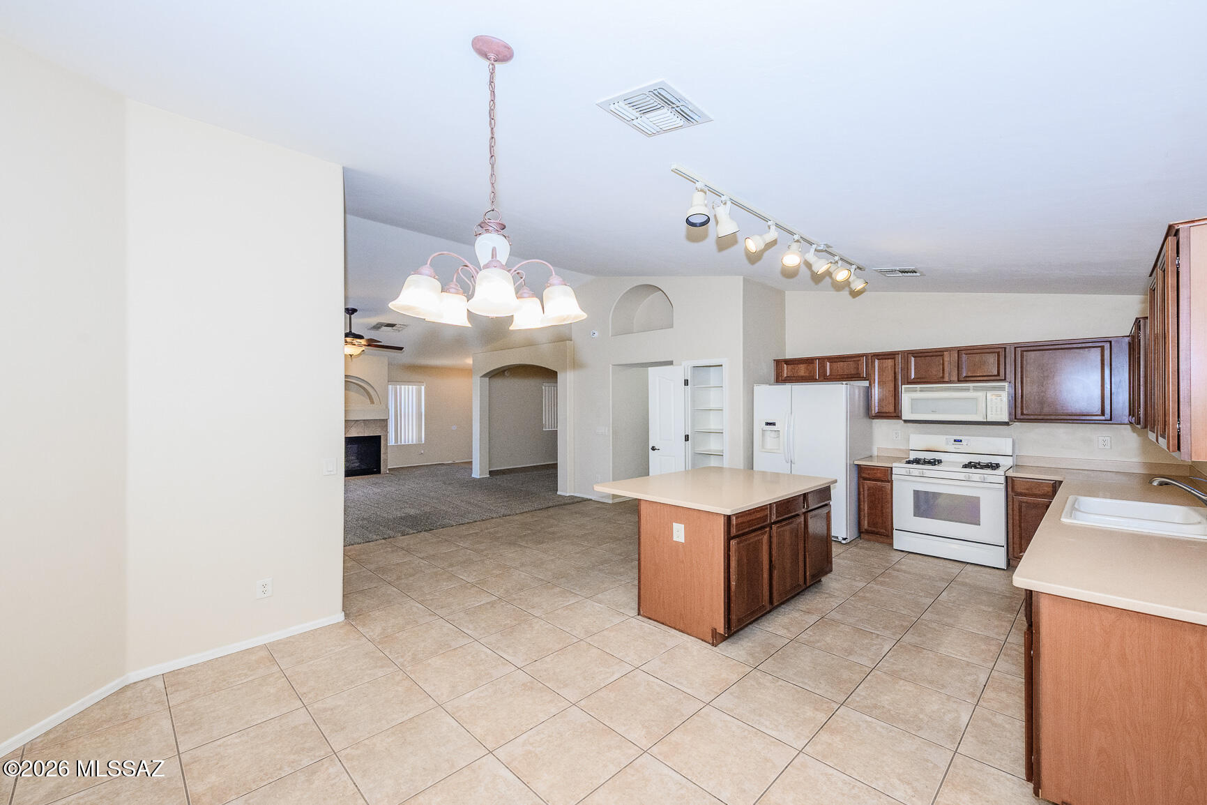 13197 E Mesquite Flat Spring Drive