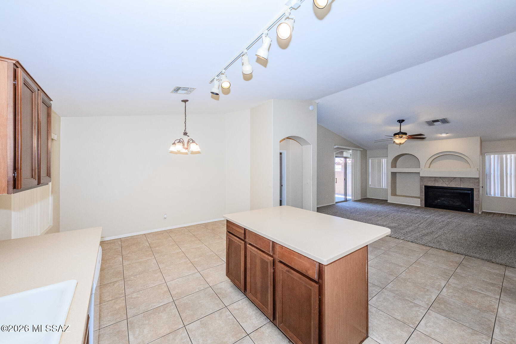 13197 E Mesquite Flat Spring Drive
