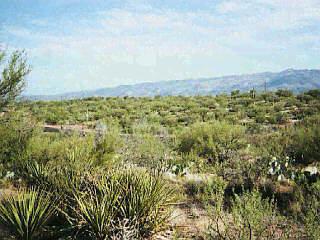 9378 S Mountain Creek Ranch Road