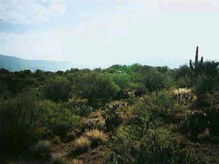 9378 S Mountain Creek Ranch Road