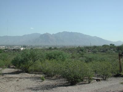 6355 N Desert Foothills Drive