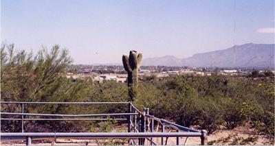 6355 N Desert Foothills Drive