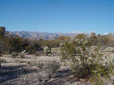 1290 N Speedway Place