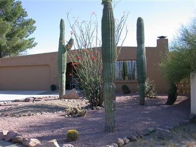 Private Address