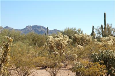 5110 N Old West Road