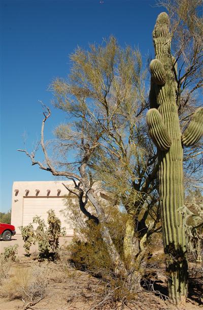 5110 N Old West Road