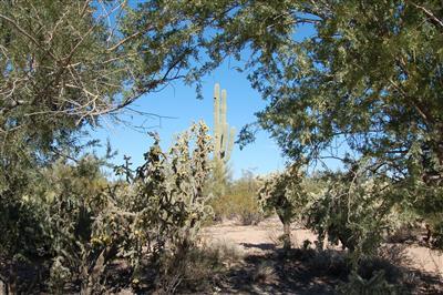 5110 N Old West Road