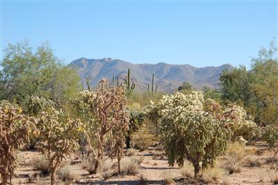 5110 N Old West Road