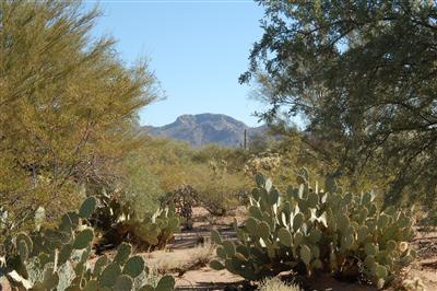 5110 N Old West Road