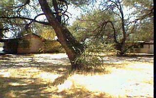 8045 E Tanque Verde Road