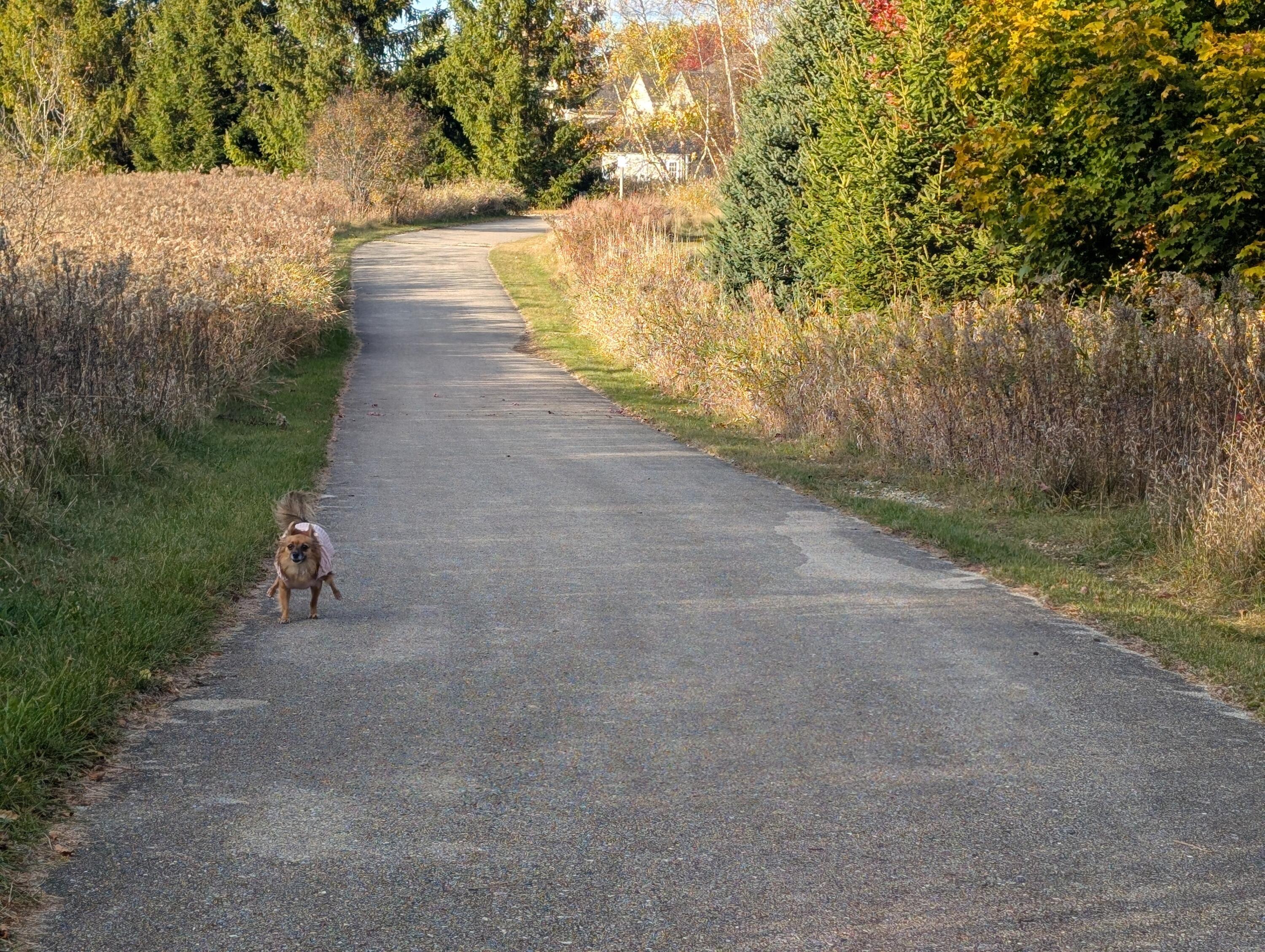 1339 Cedar Creek Pkwy