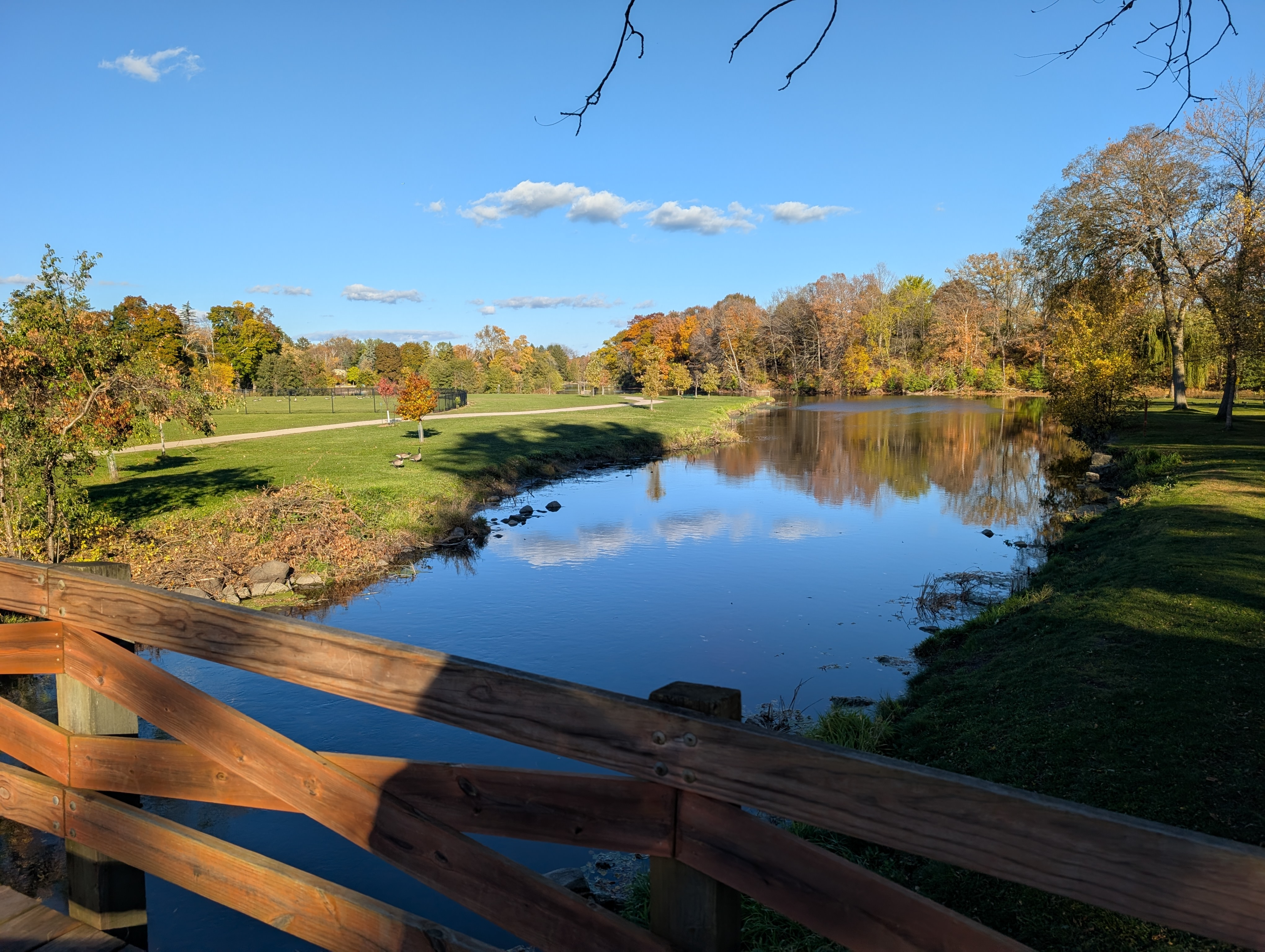 1339 Cedar Creek Pkwy